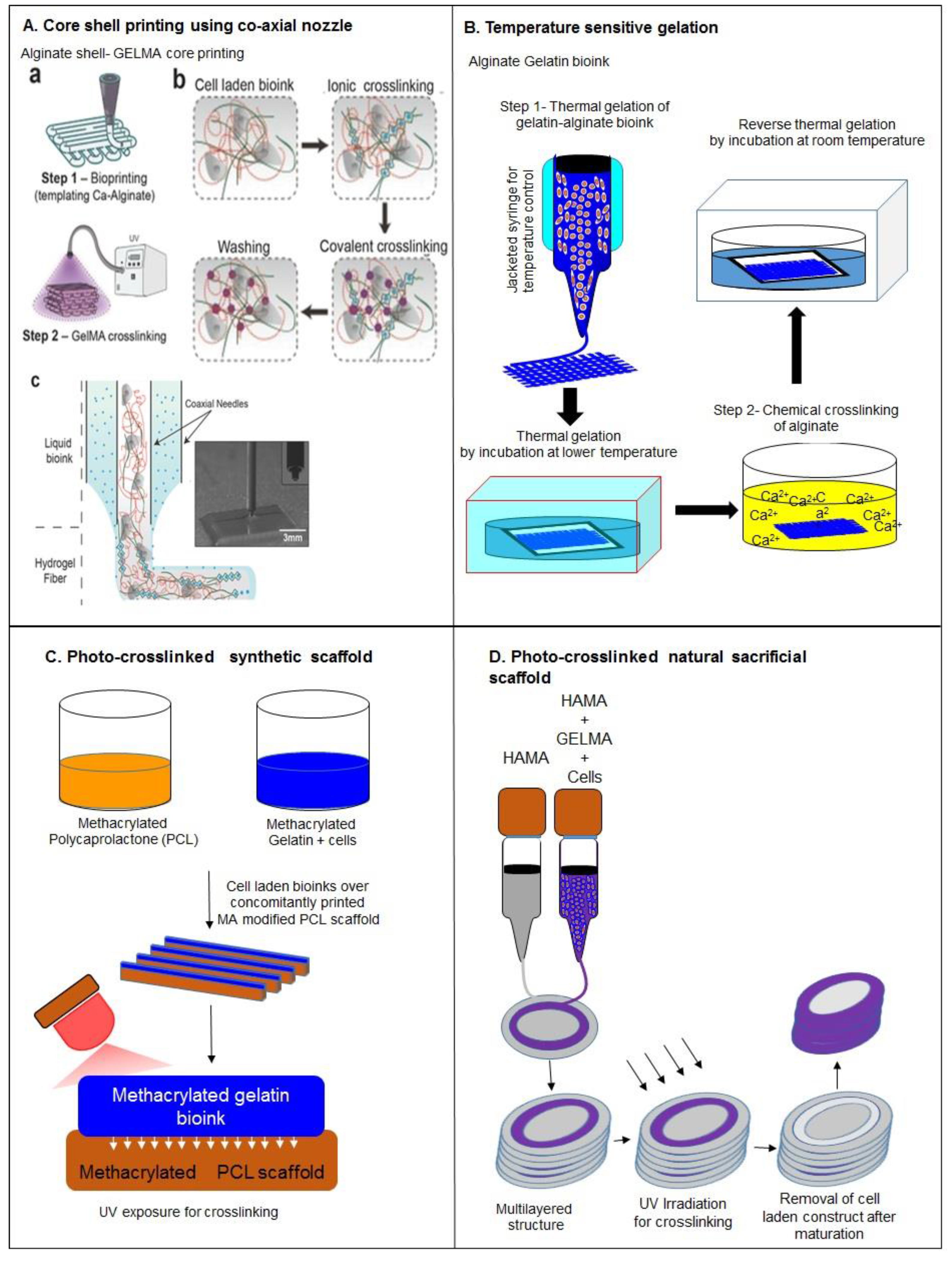 Molecules 21 00685 g003