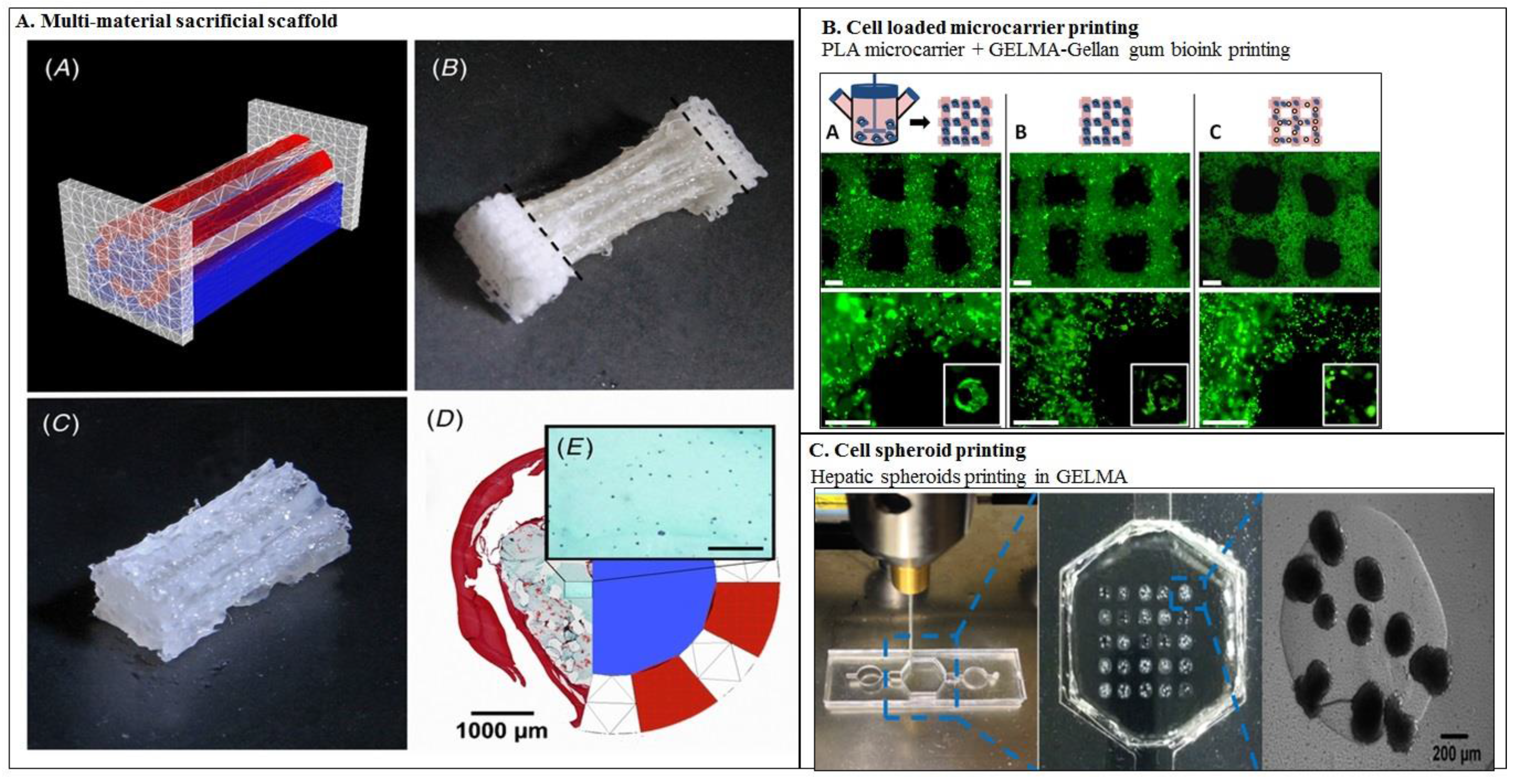 Molecules 21 00685 g004