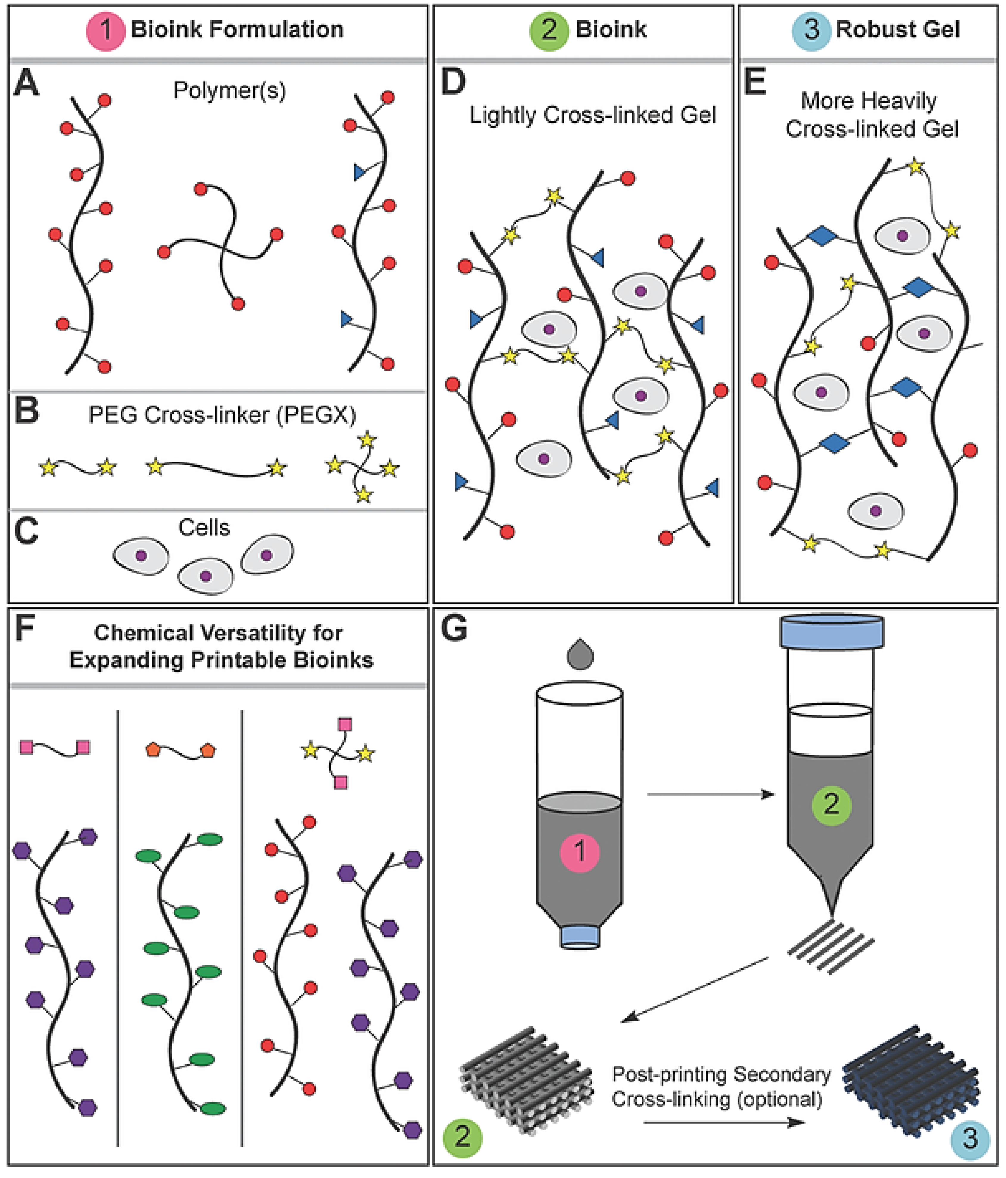 Molecules 21 00685 g005