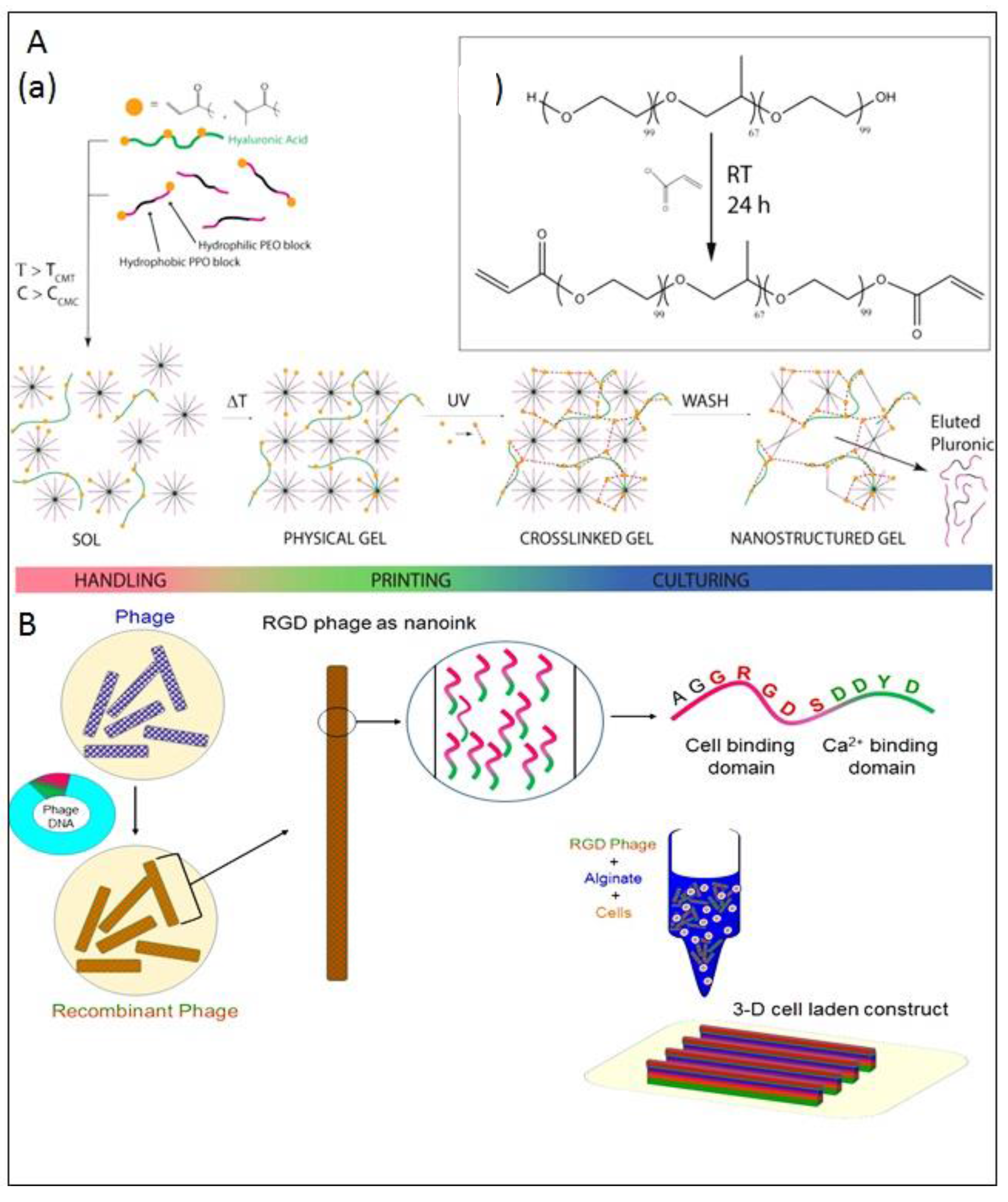 Molecules 21 00685 g006