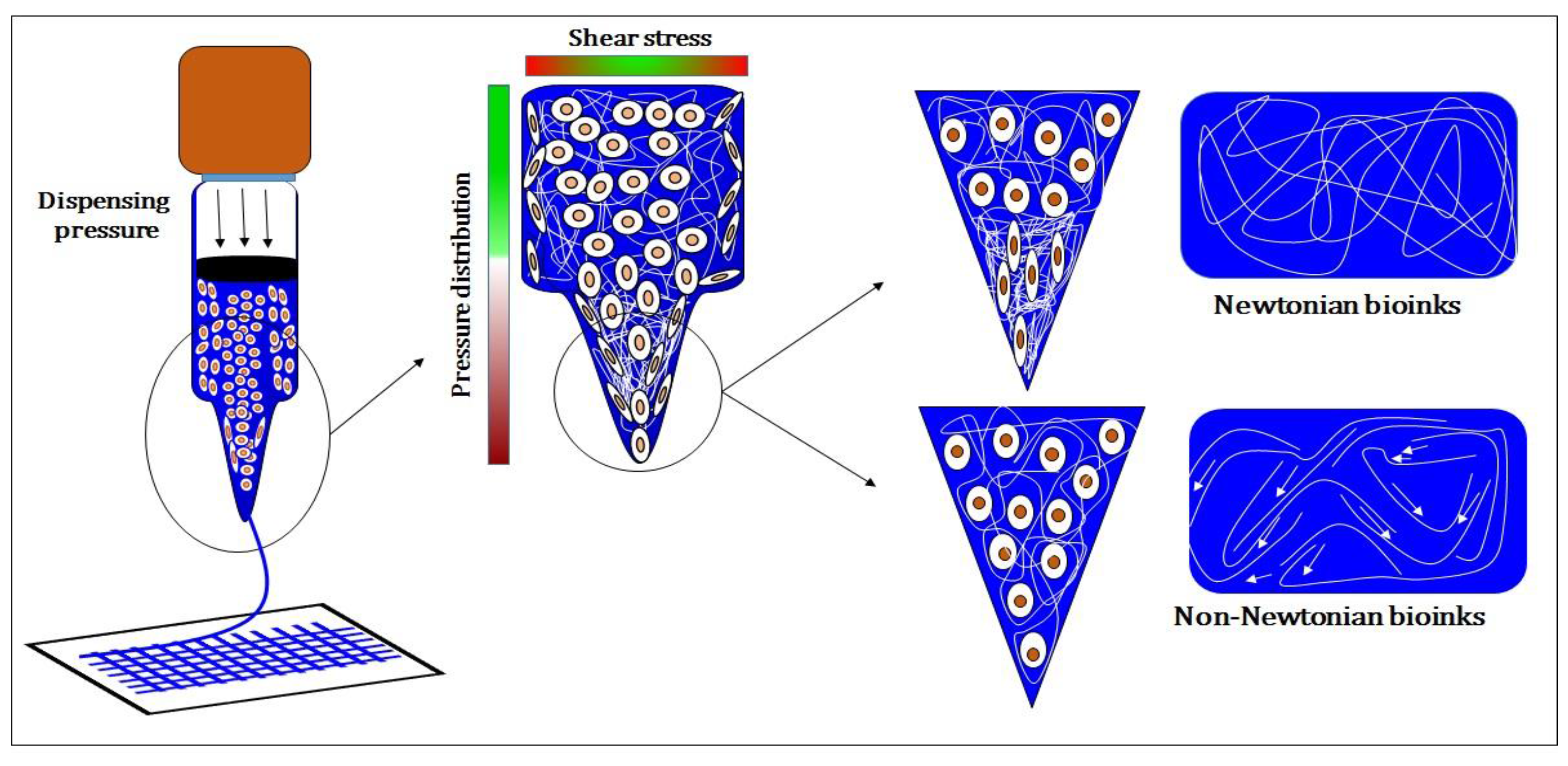 Molecules 21 00685 g007