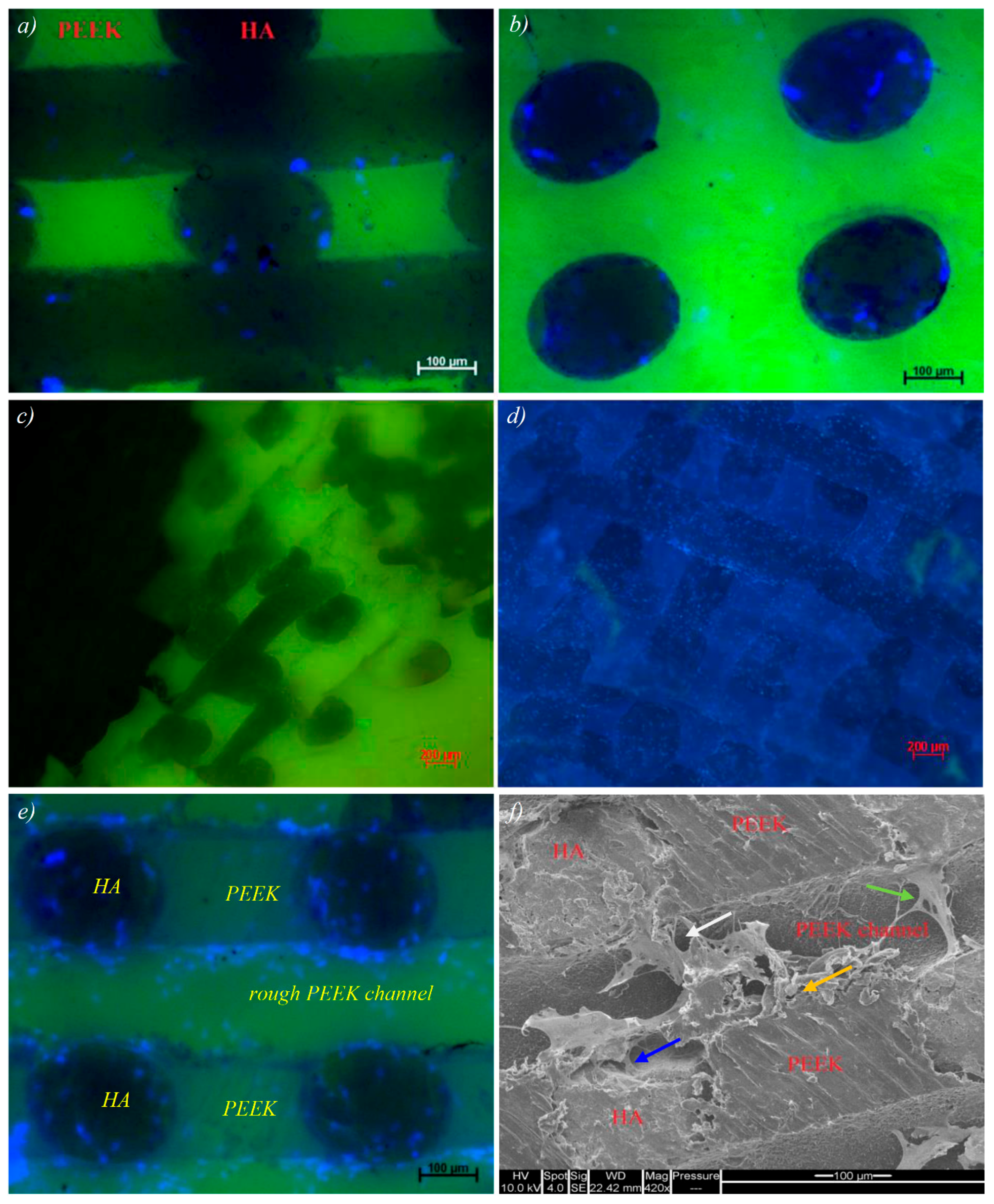 Molecules 21 00687 g007