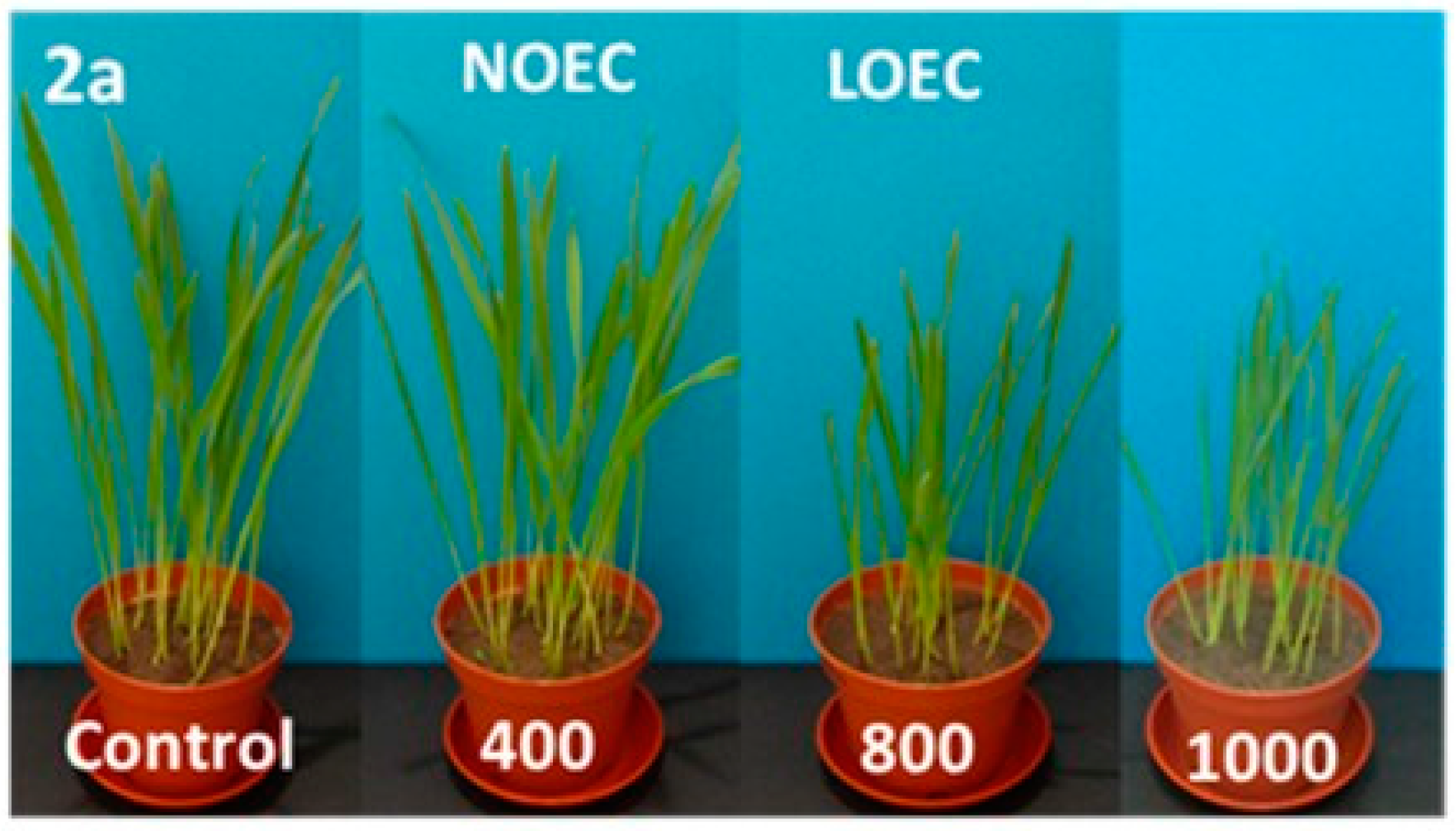 Molecules 21 00694 g003a