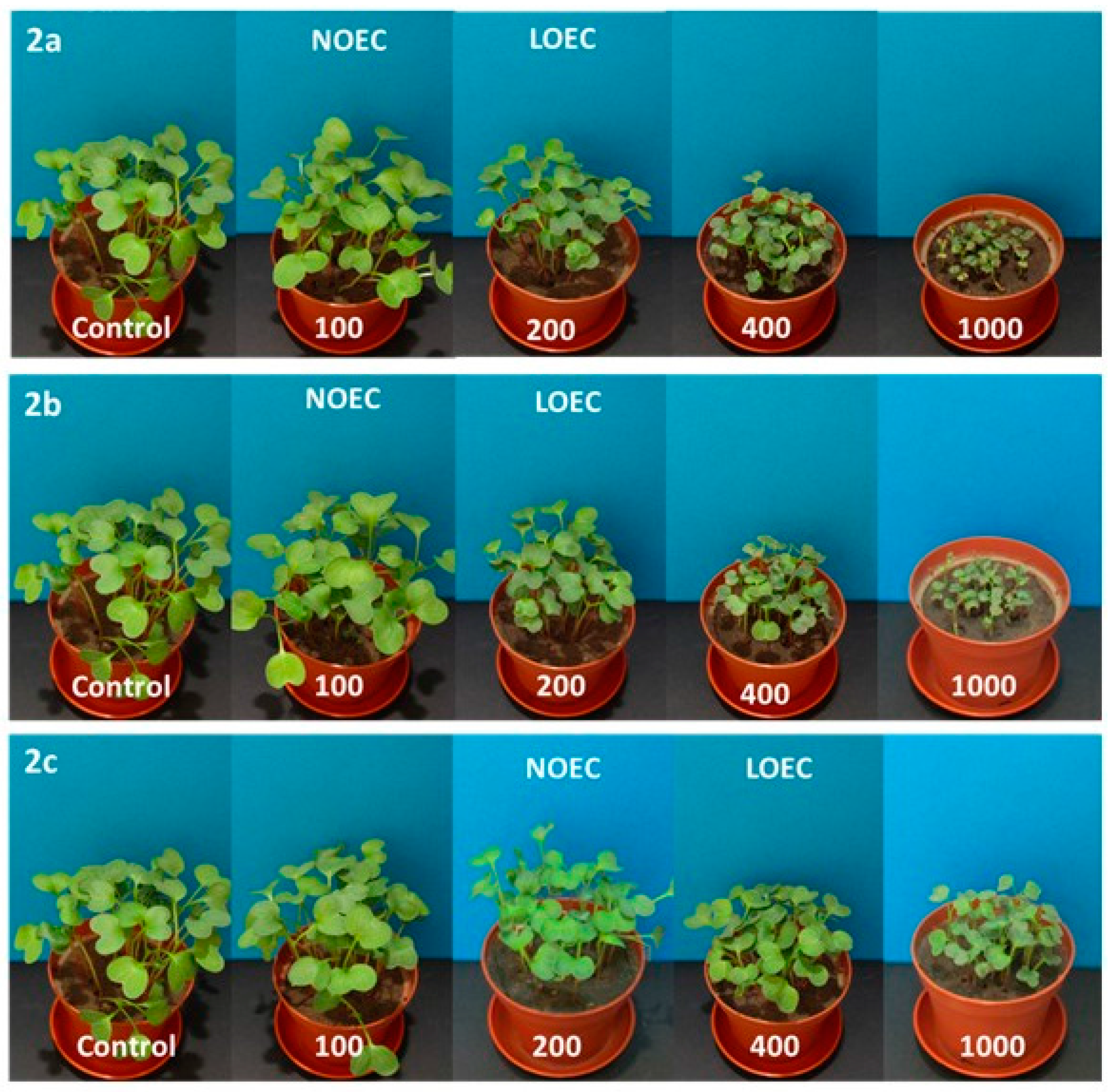Molecules 21 00694 g004