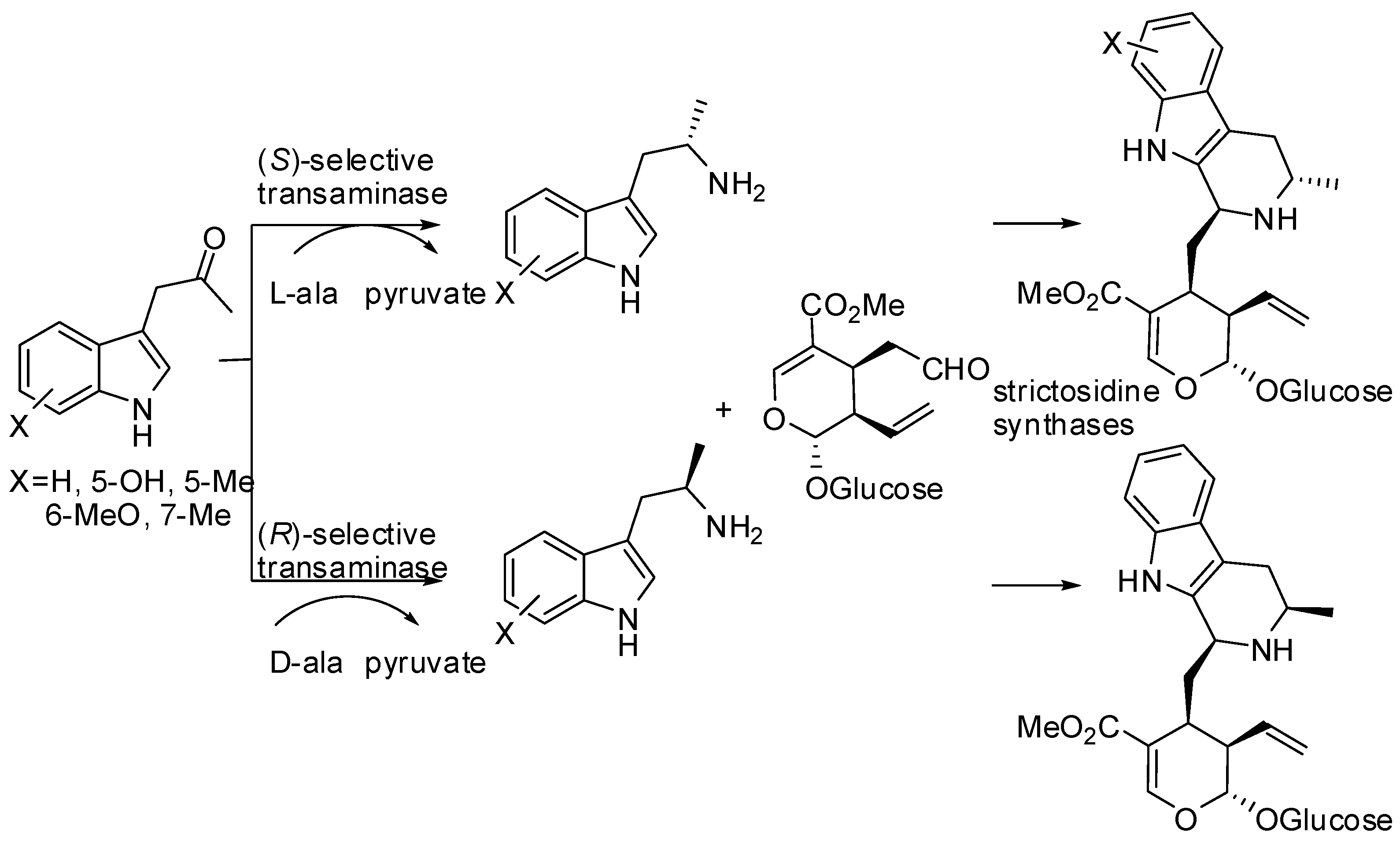 Molecules 21 00699 sch026