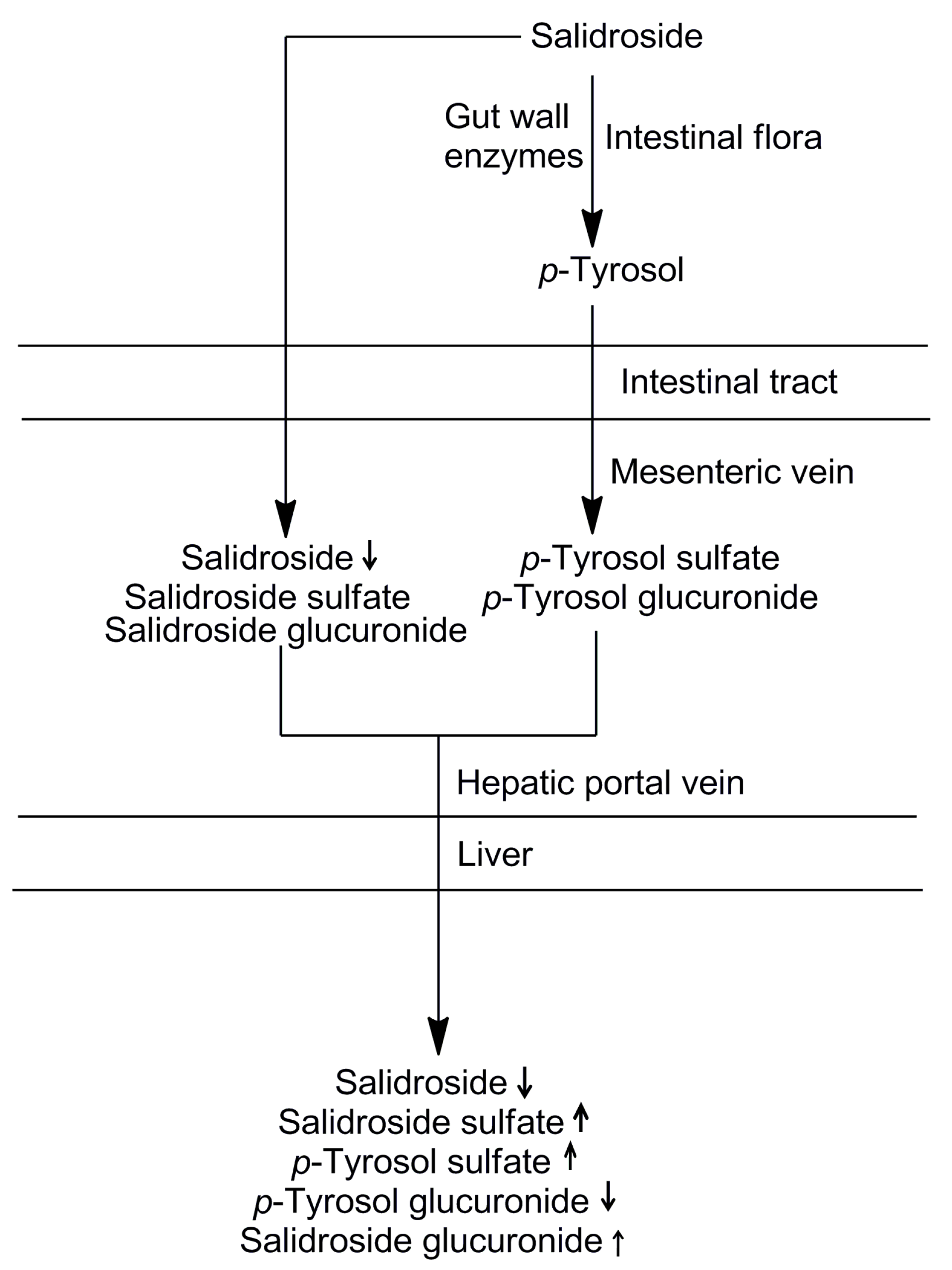 Molecules 21 00706 g003