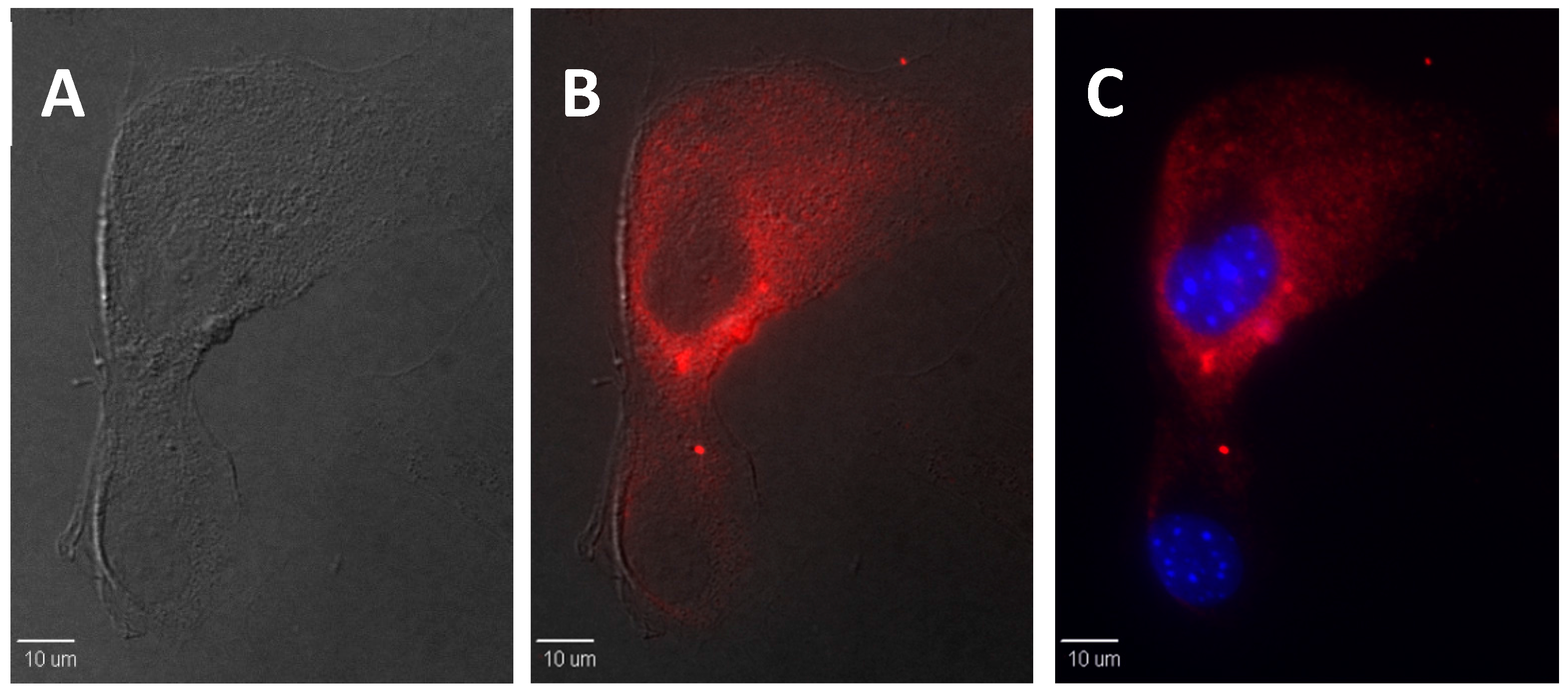Molecules 21 00709 g004