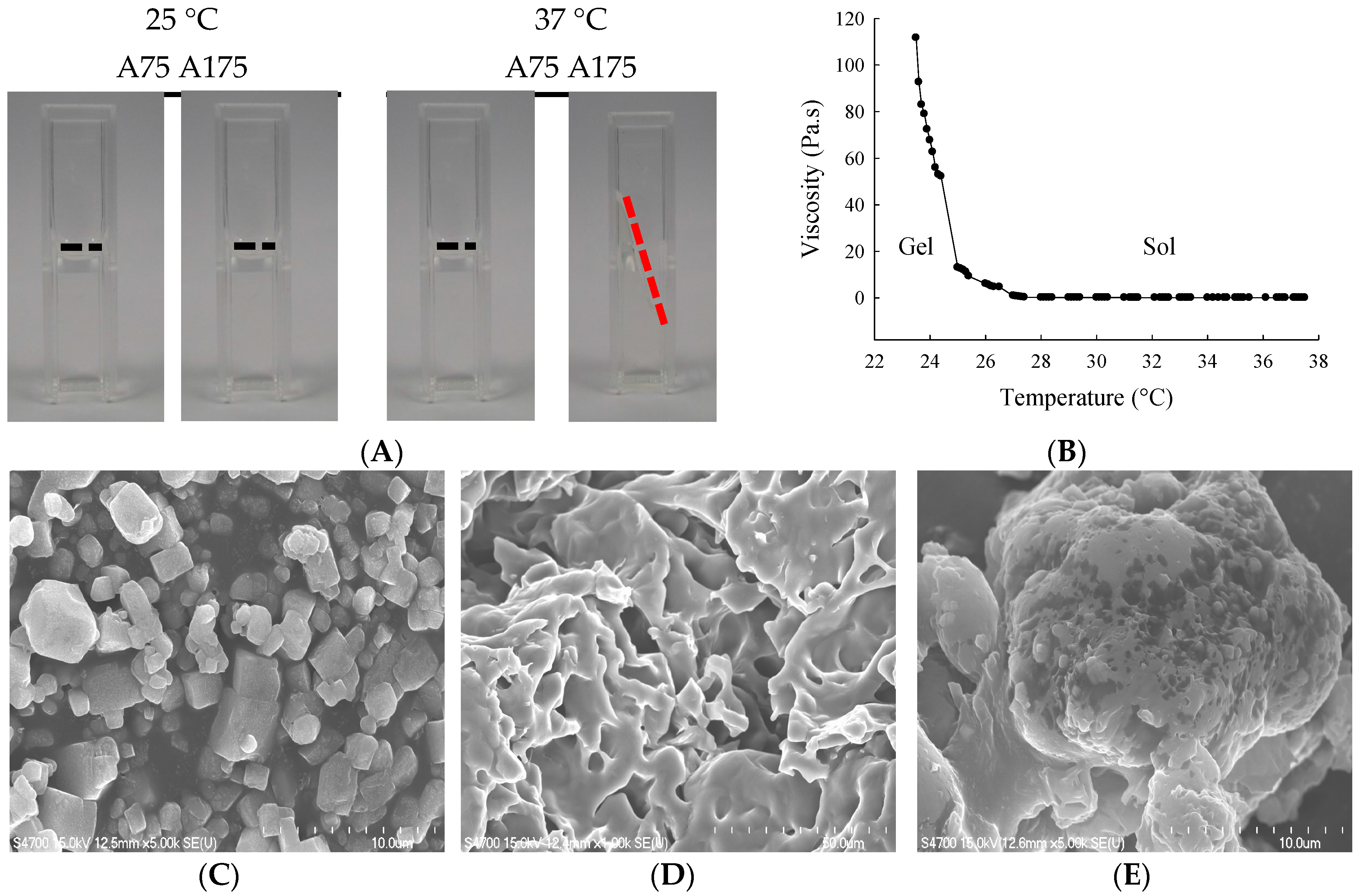 Molecules 21 00712 g001