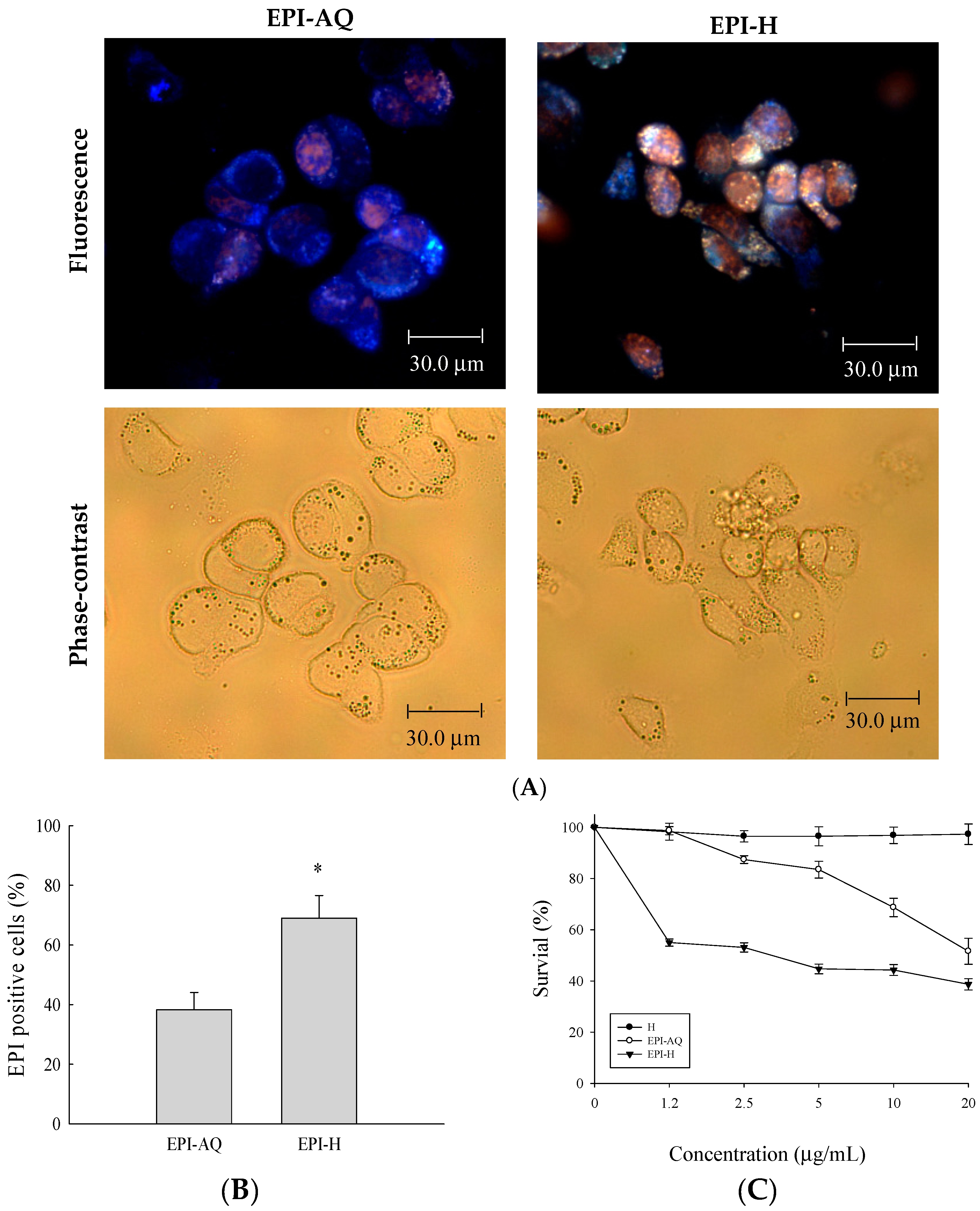 Molecules 21 00712 g002