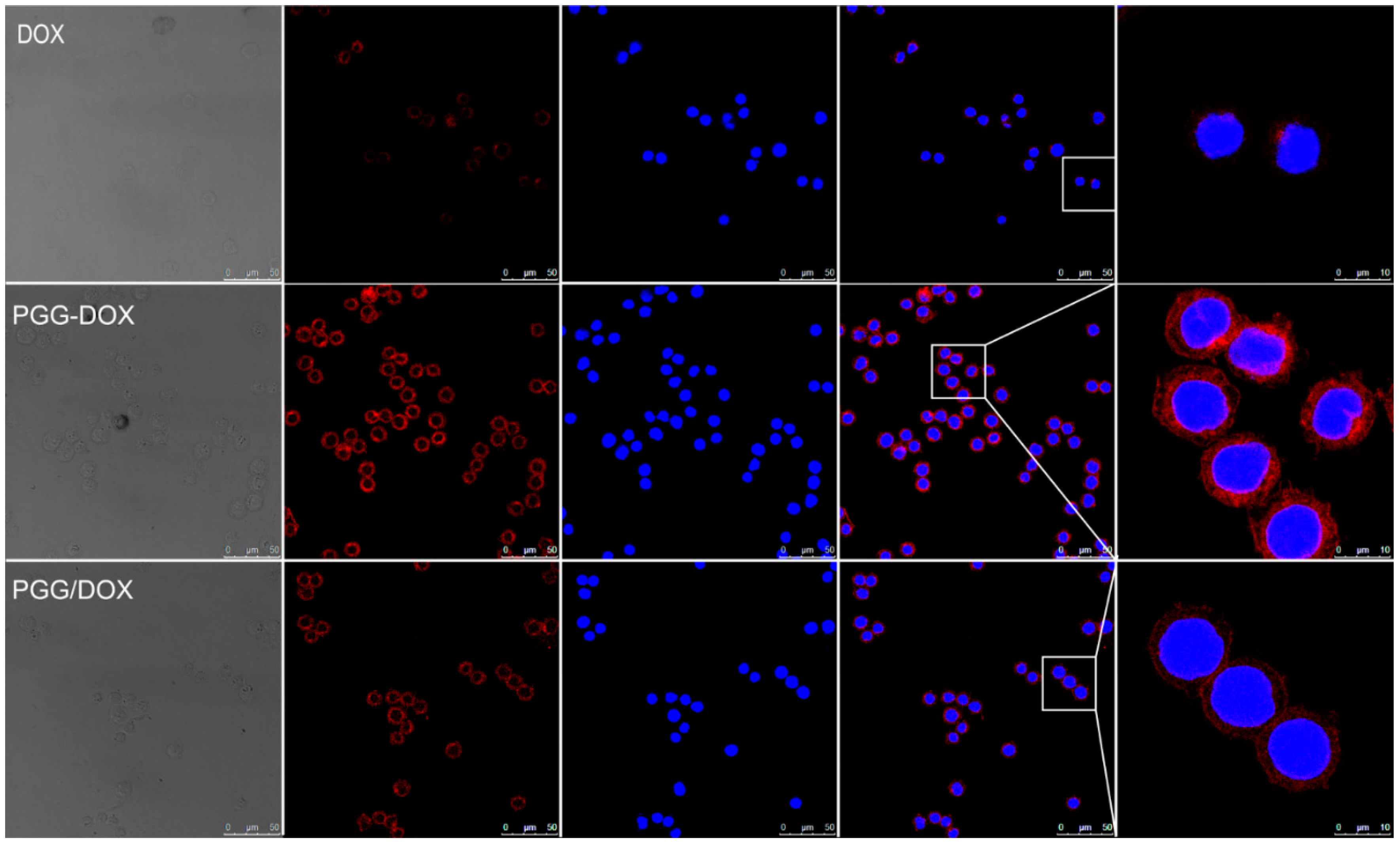 Molecules 21 00720 g009