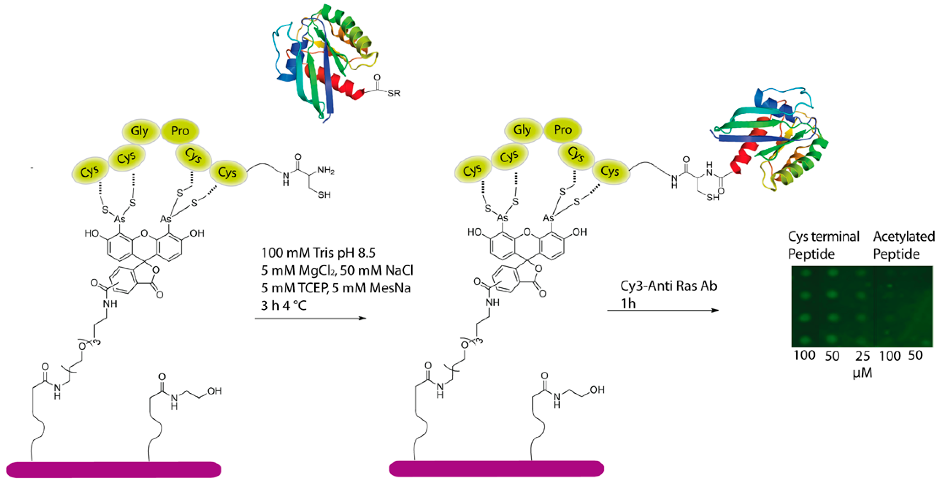 Molecules 21 00750 g004