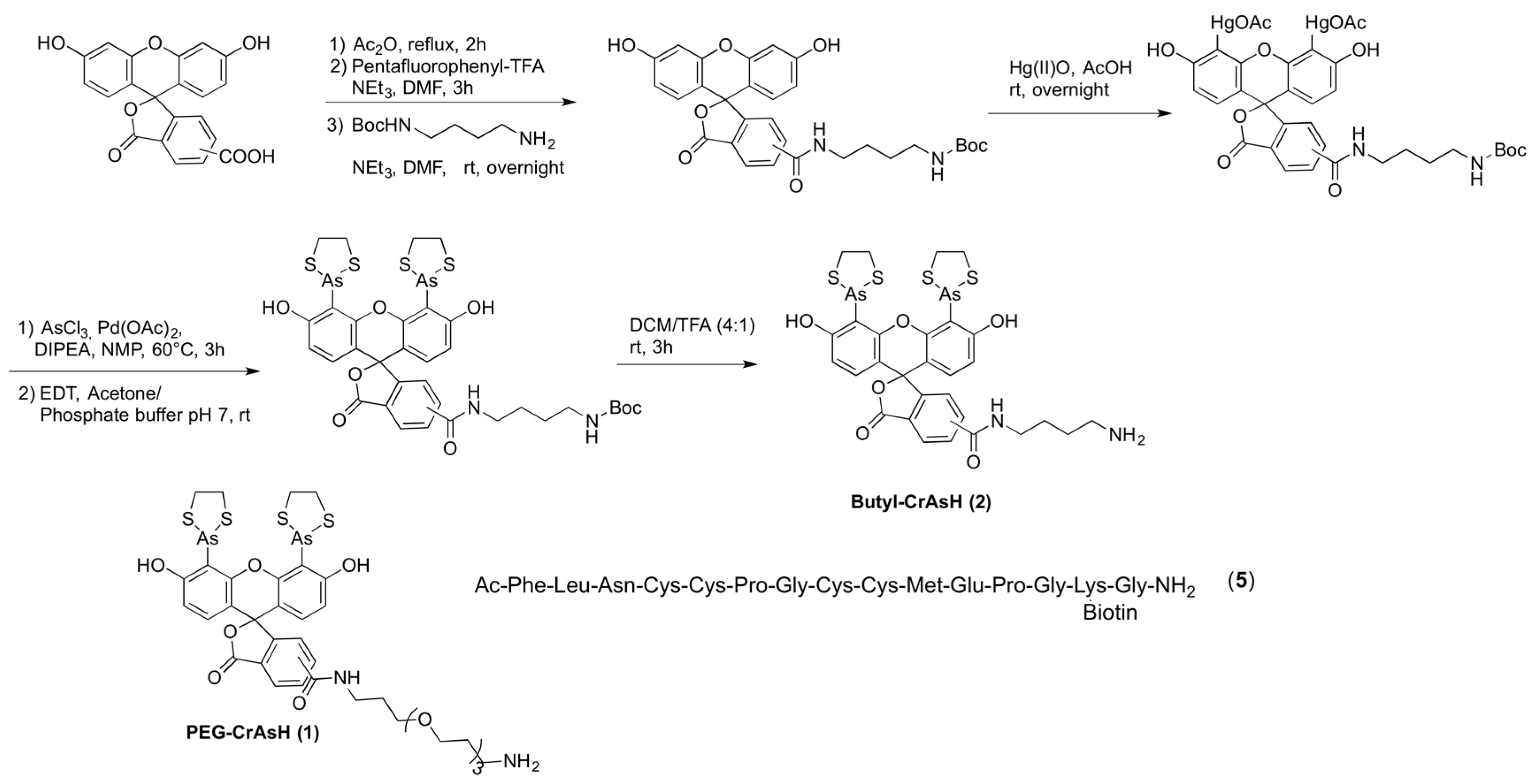 Molecules 21 00750 sch001