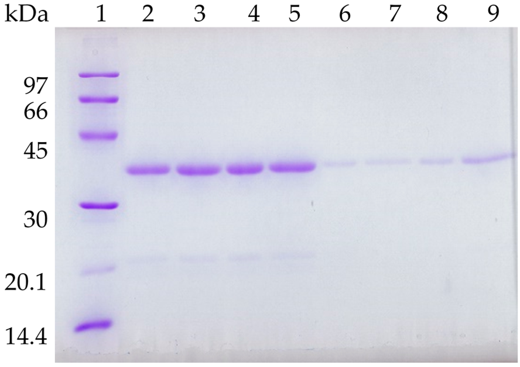 Molecules 21 00751 g006