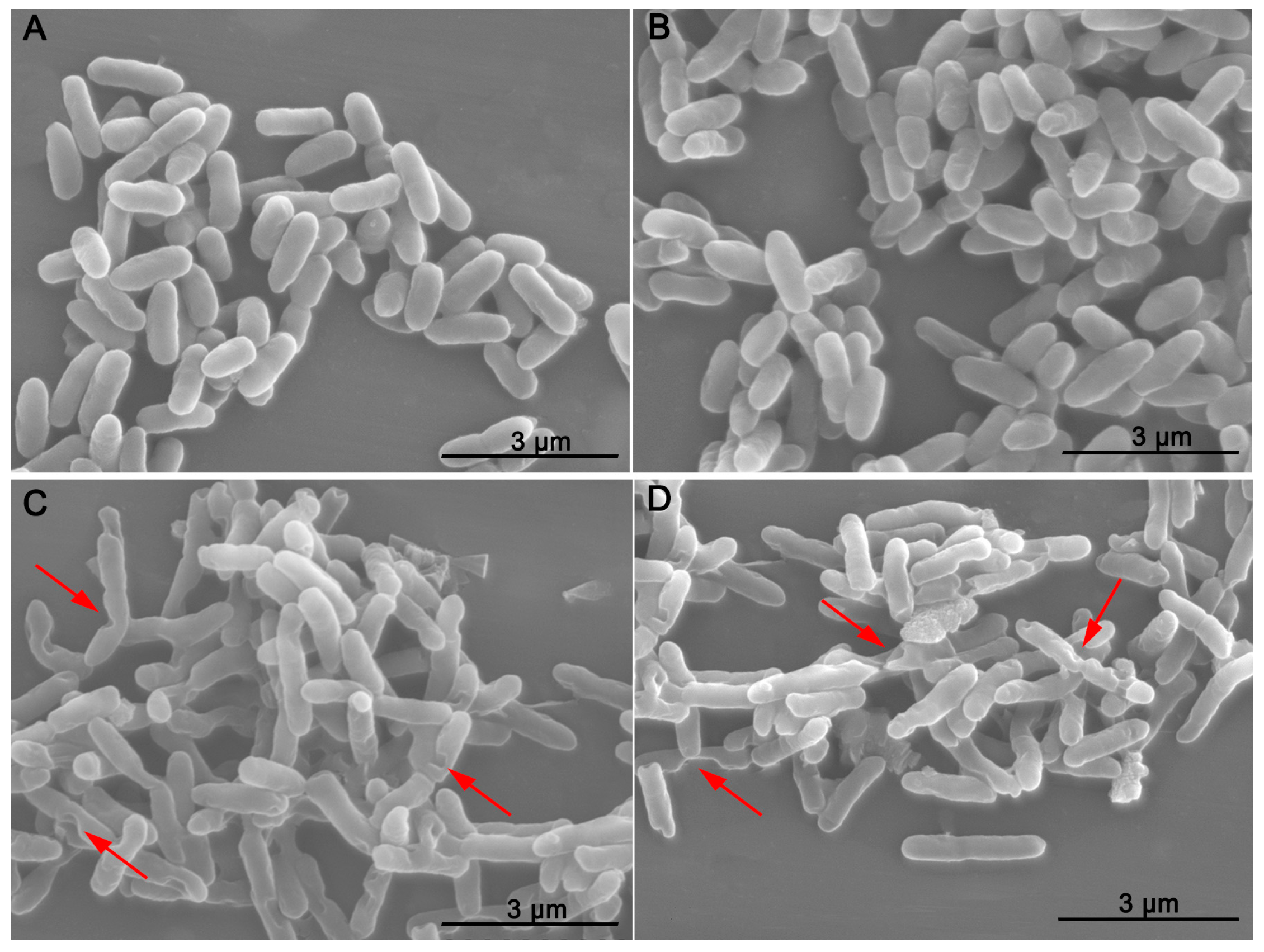 Molecules 21 00754 g003