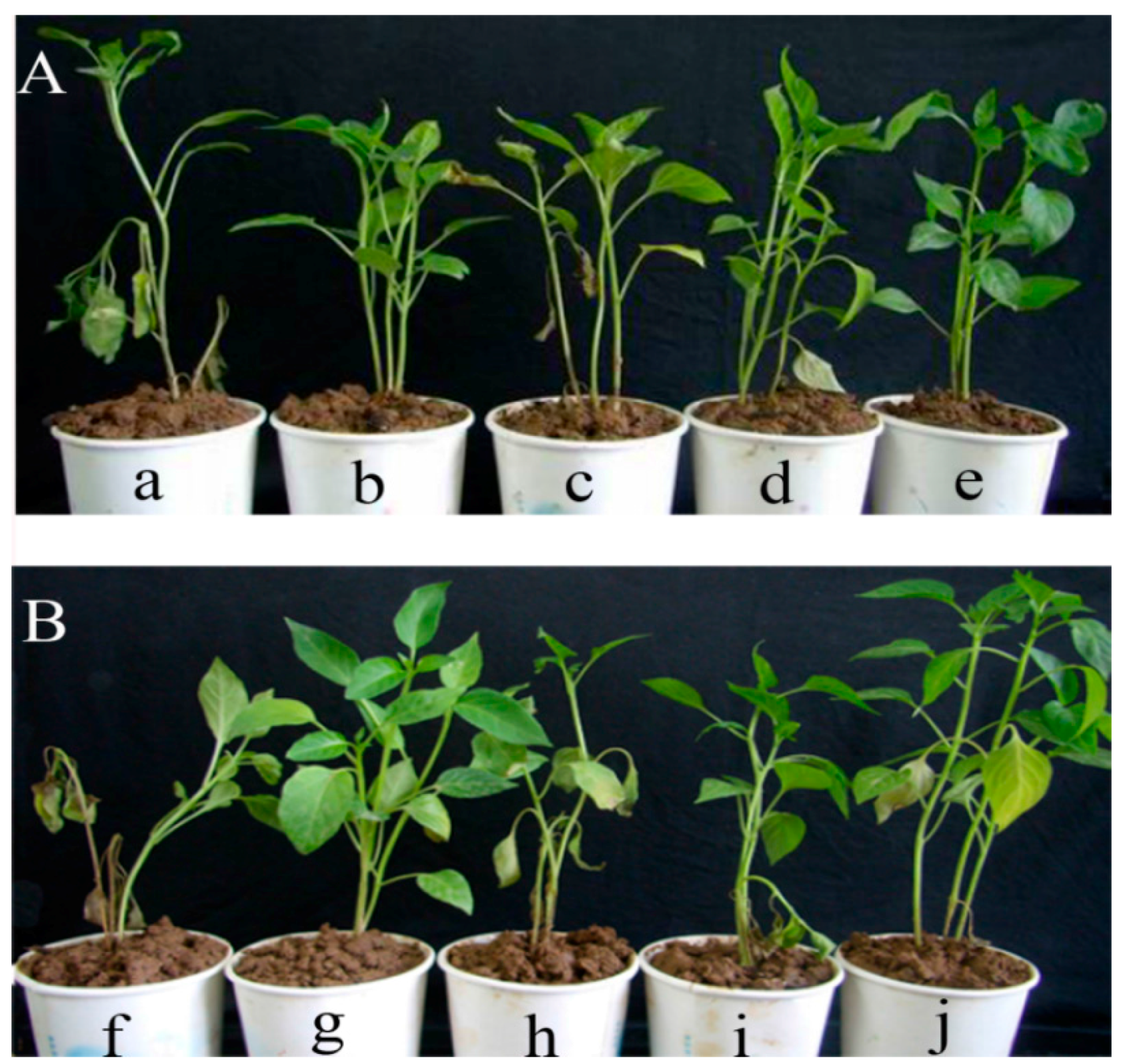 Molecules 21 00756 g007