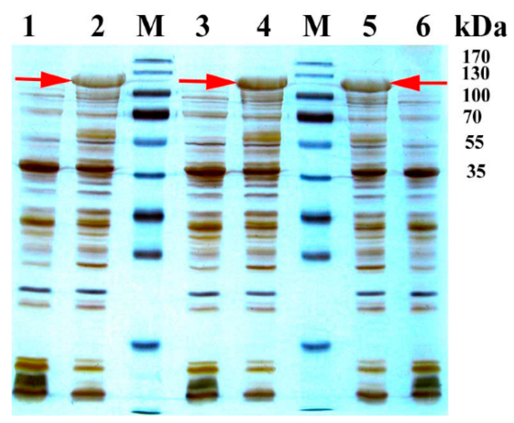 Molecules 21 00760 g001