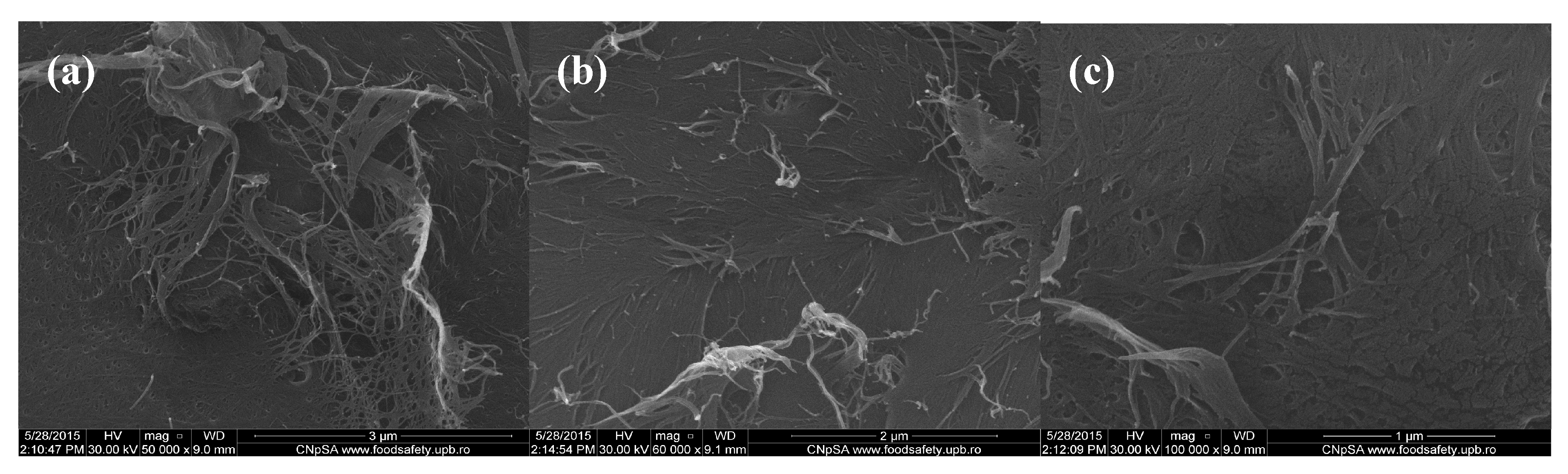 Molecules 21 00761 g001