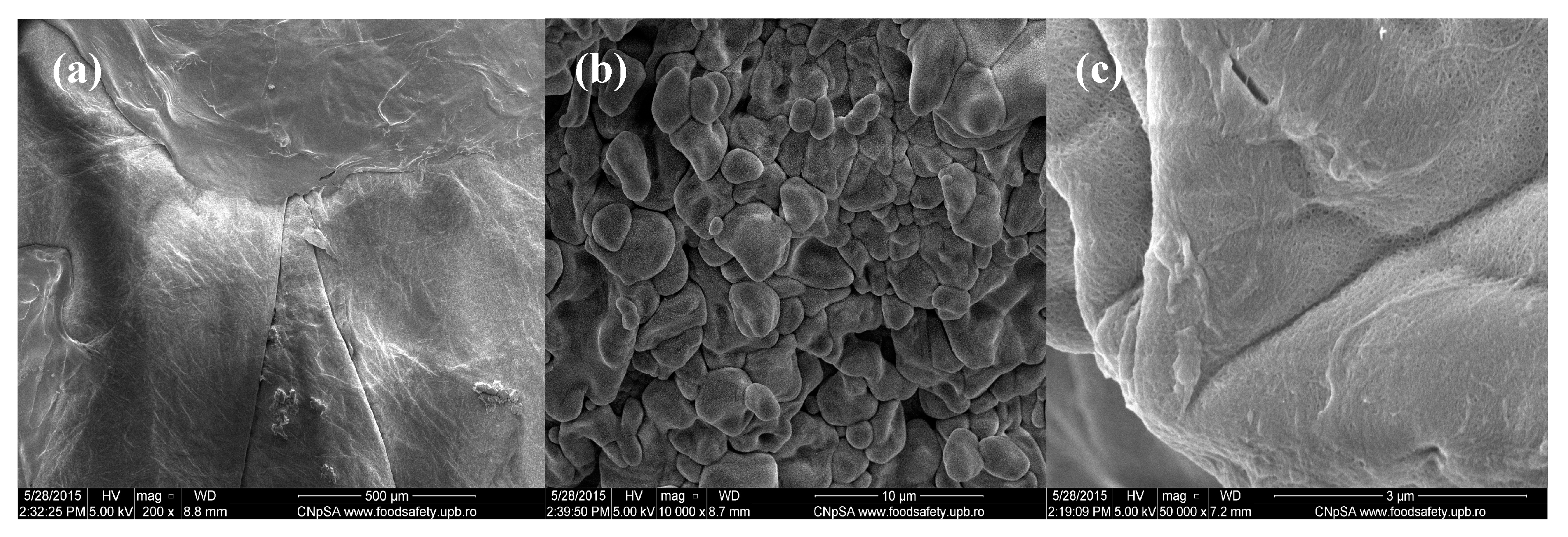 Molecules 21 00761 g002