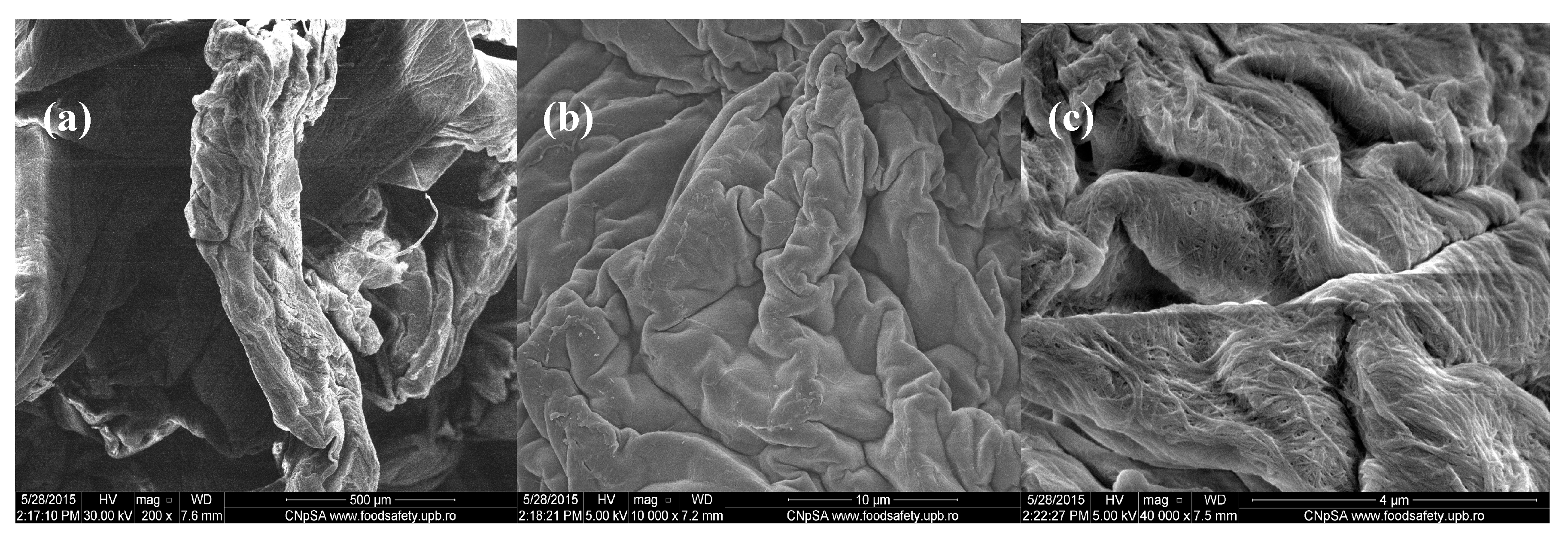 Molecules 21 00761 g003