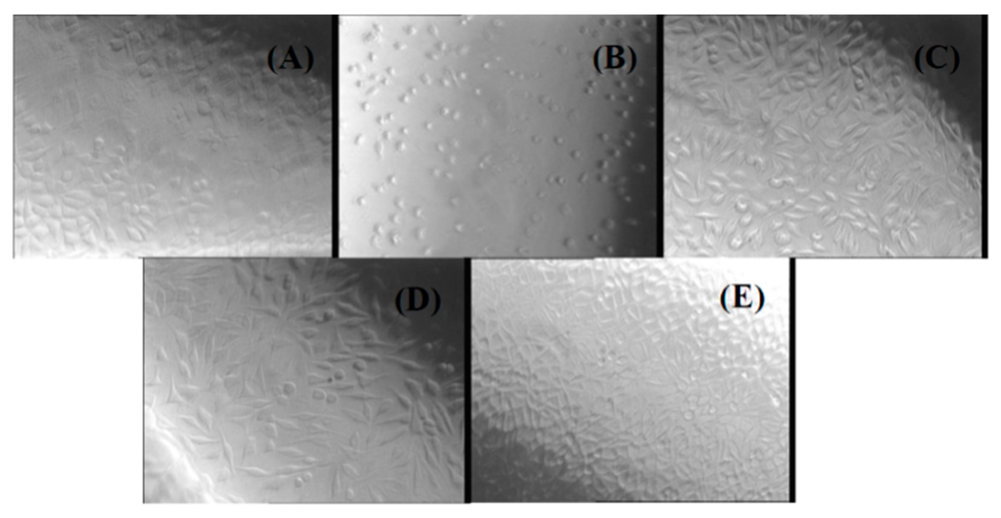 Molecules 21 00761 g006