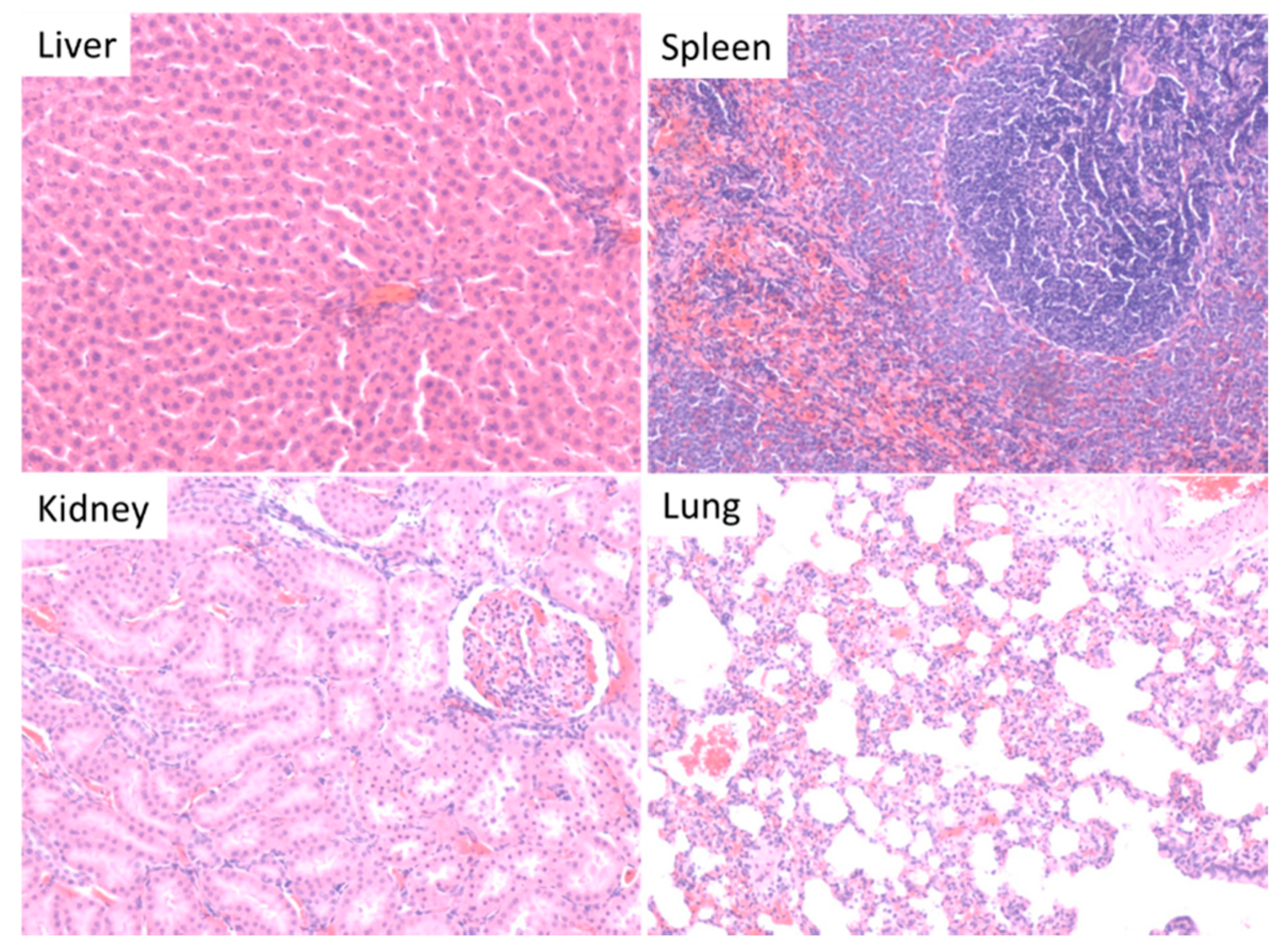 Molecules 21 00763 g006