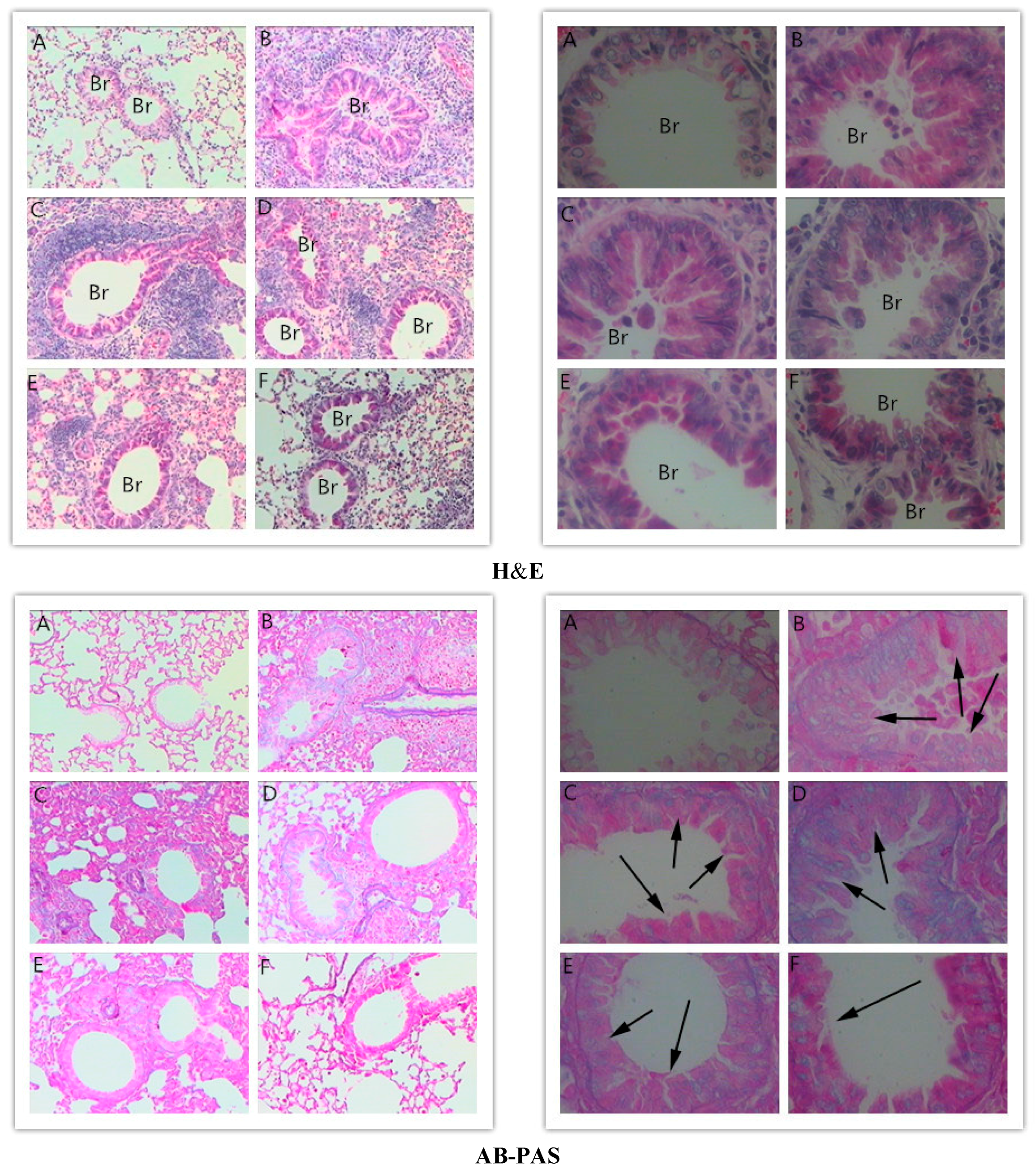 Molecules 21 00769 g003