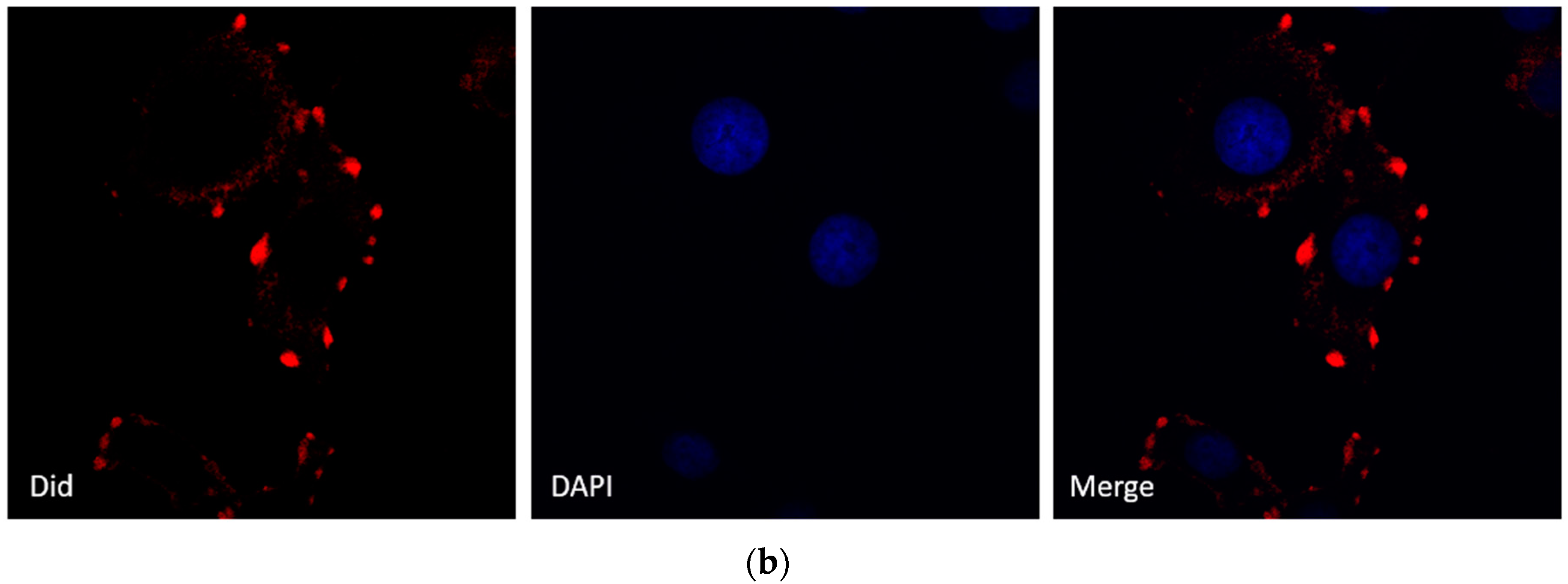 Molecules 21 00777 g003b