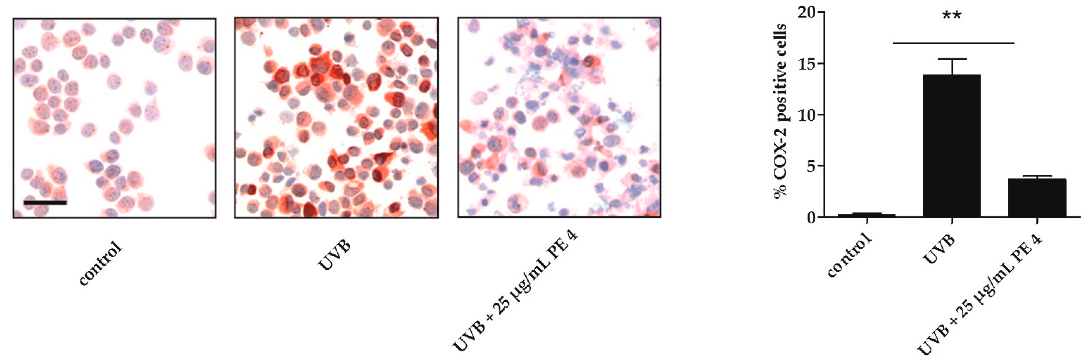 Molecules 21 00792 g004