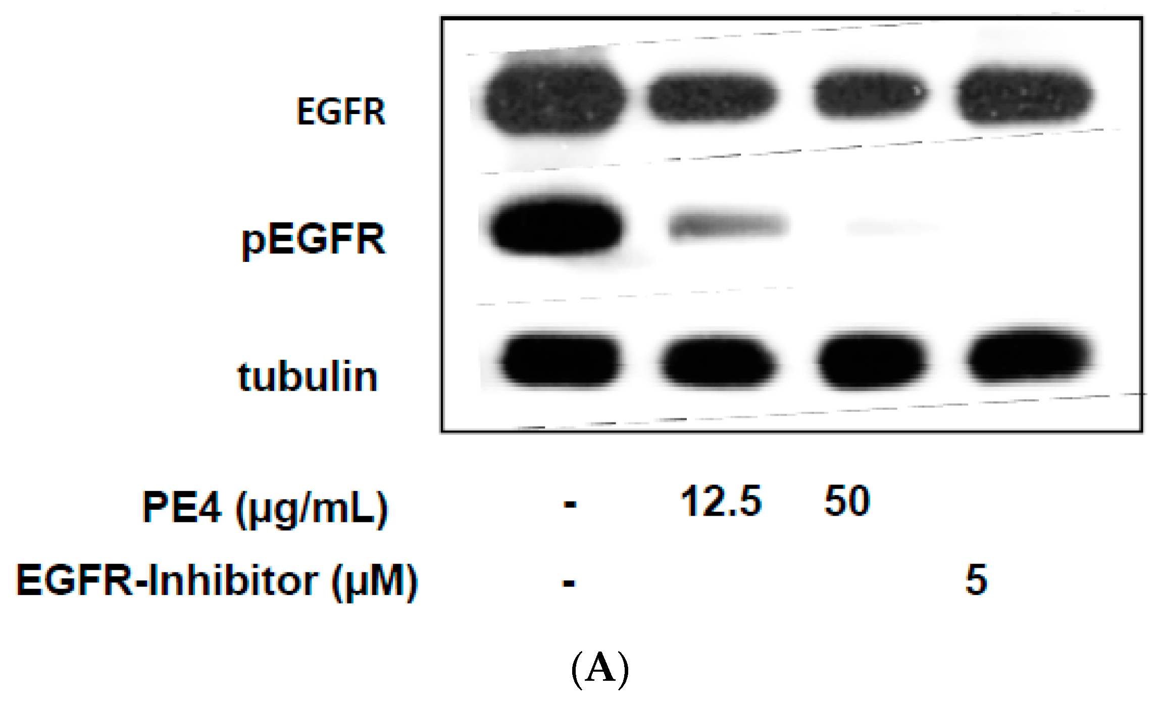Molecules 21 00792 g006a