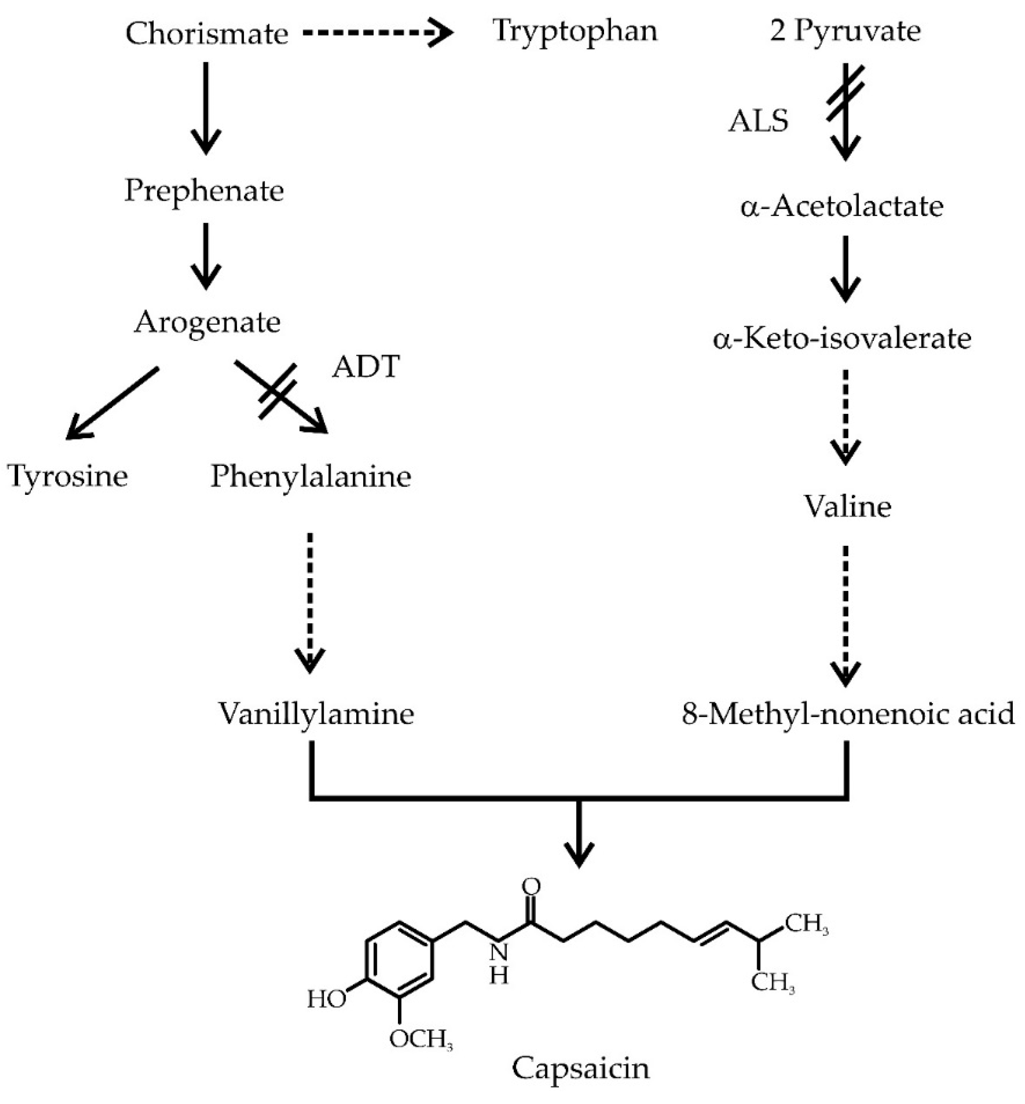 Molecules 21 00799 g001