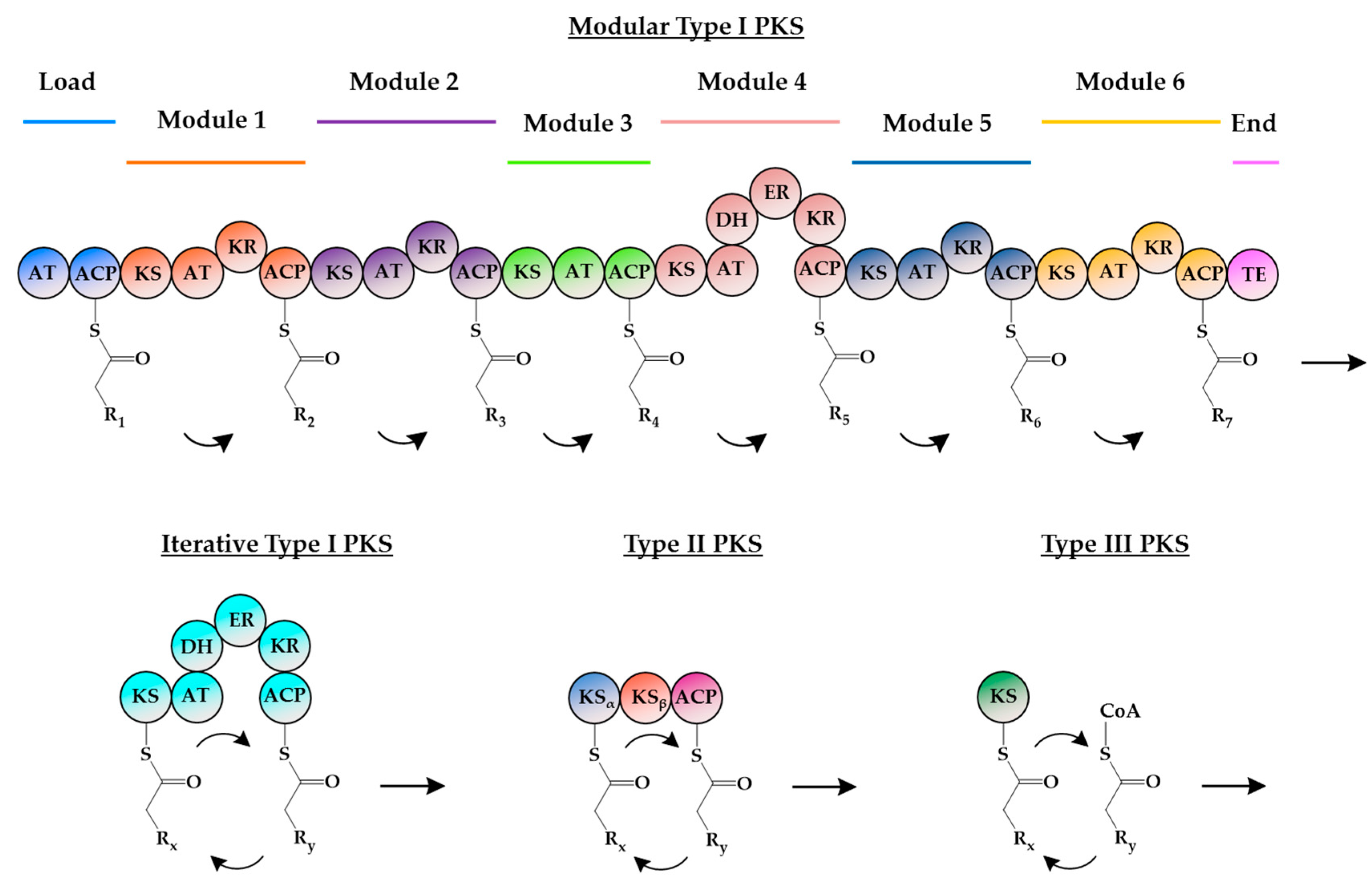 Molecules 21 00806 g002