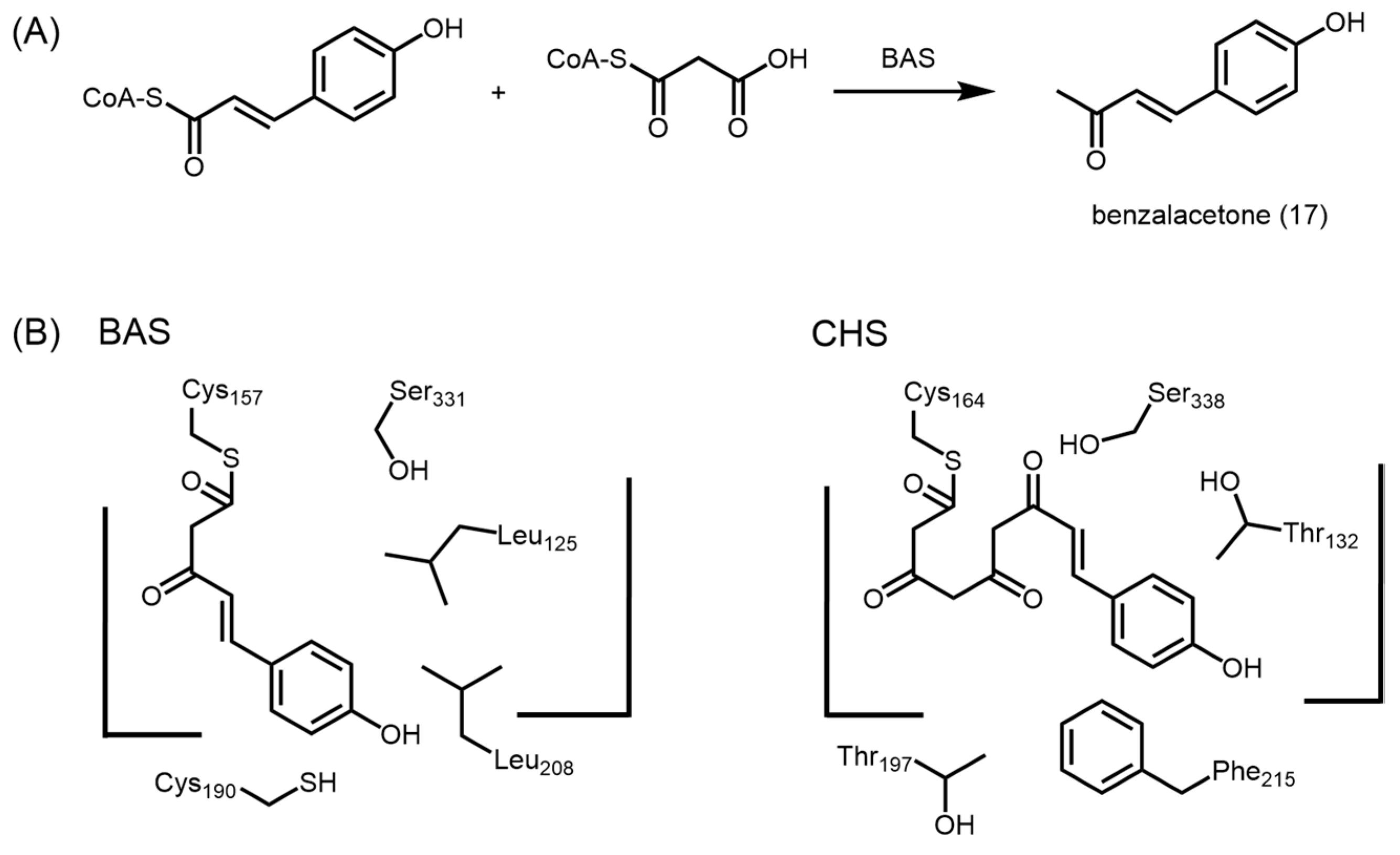Molecules 21 00806 g006