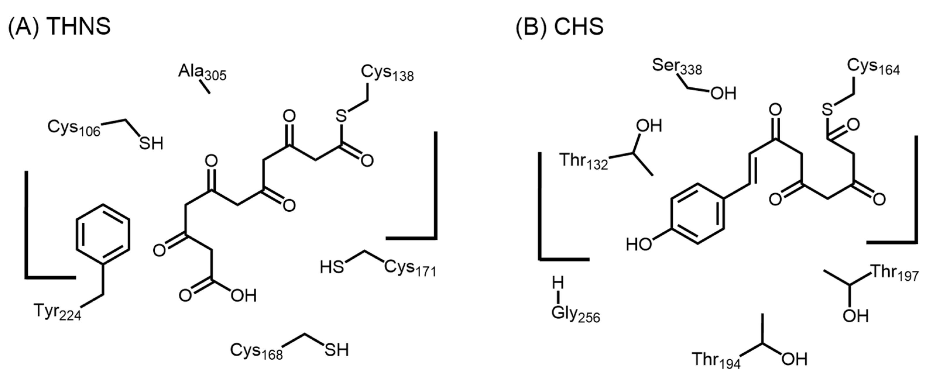 Molecules 21 00806 g011