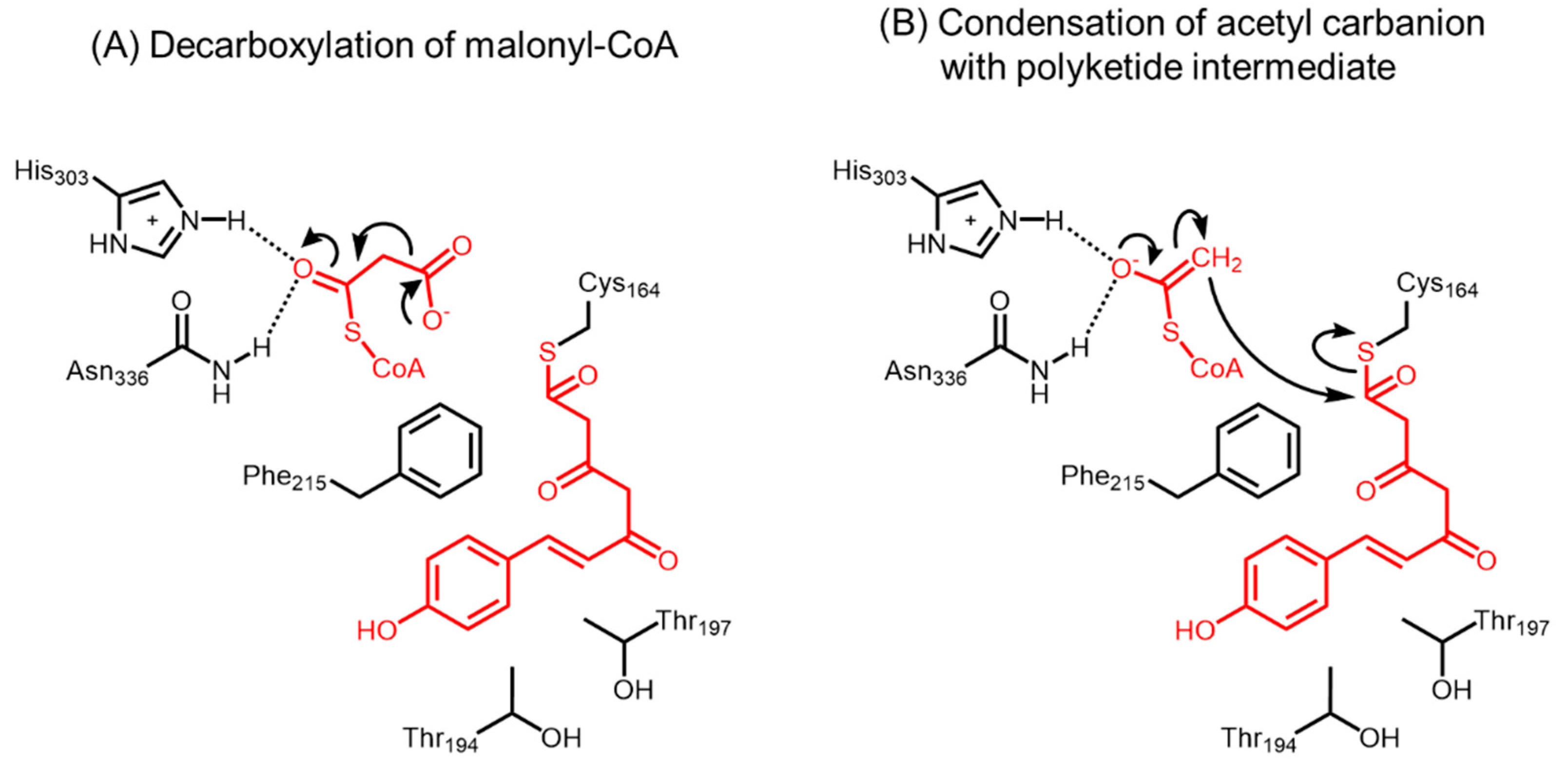 Molecules 21 00806 g017