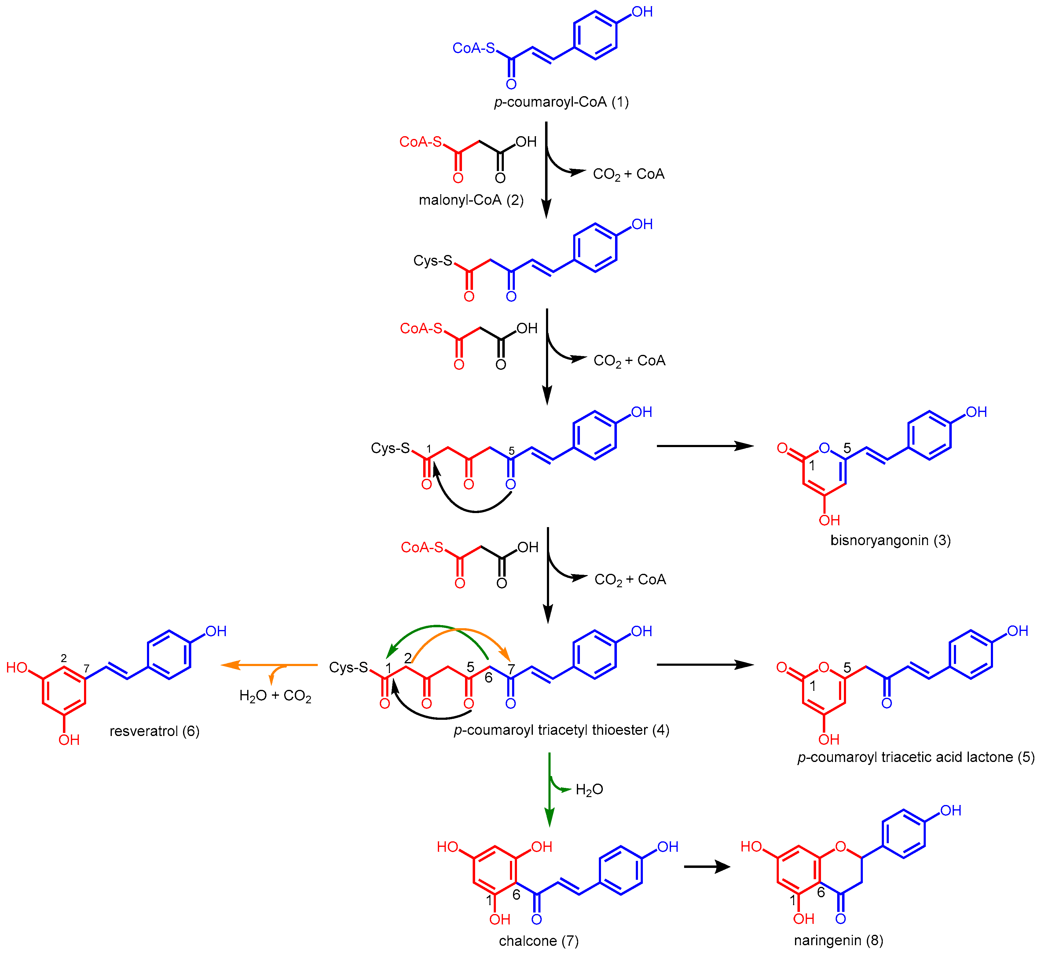 Molecules 21 00806 sch001