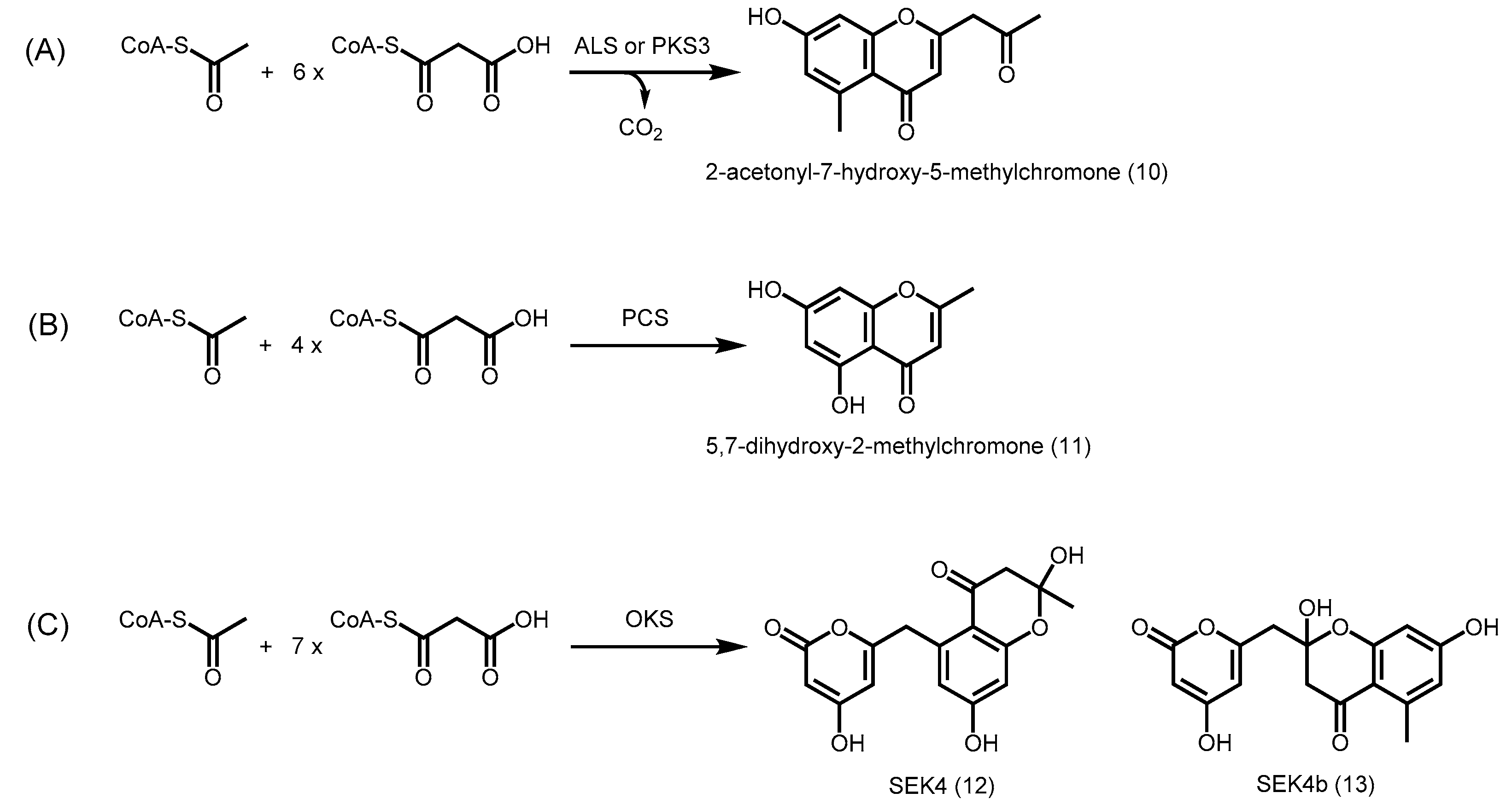 Molecules 21 00806 sch002
