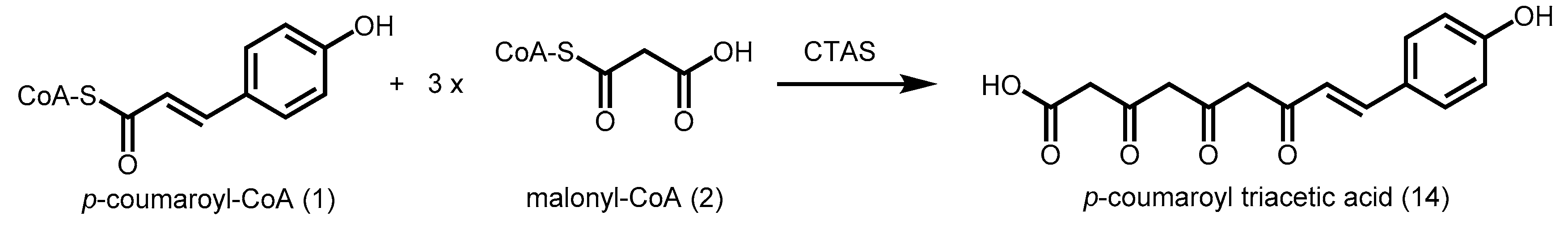 Molecules 21 00806 sch003