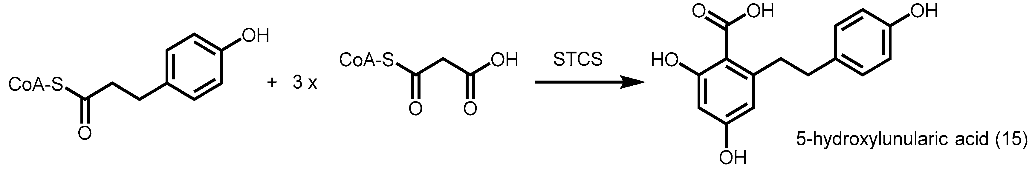 Molecules 21 00806 sch004