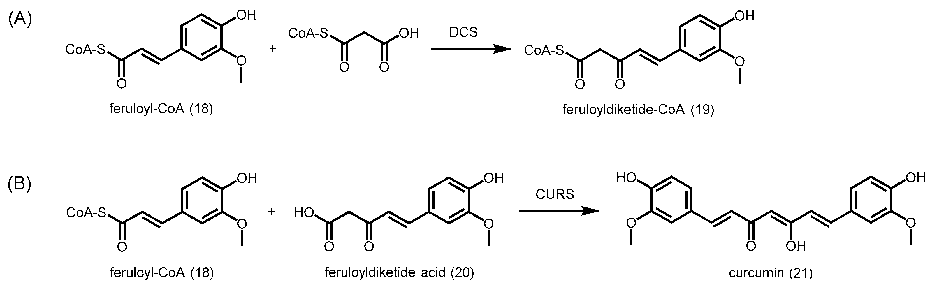 Molecules 21 00806 sch006