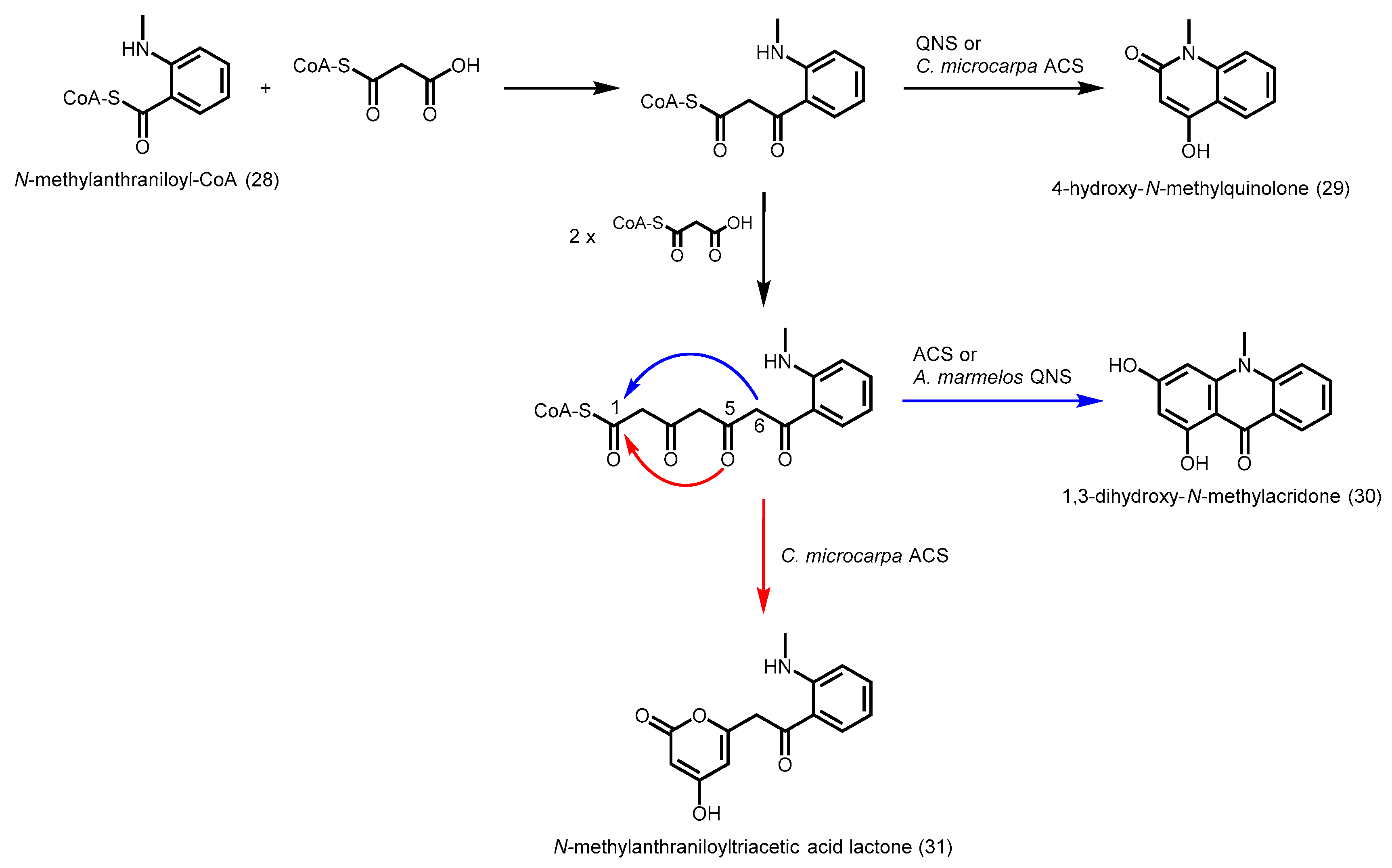 Molecules 21 00806 sch009