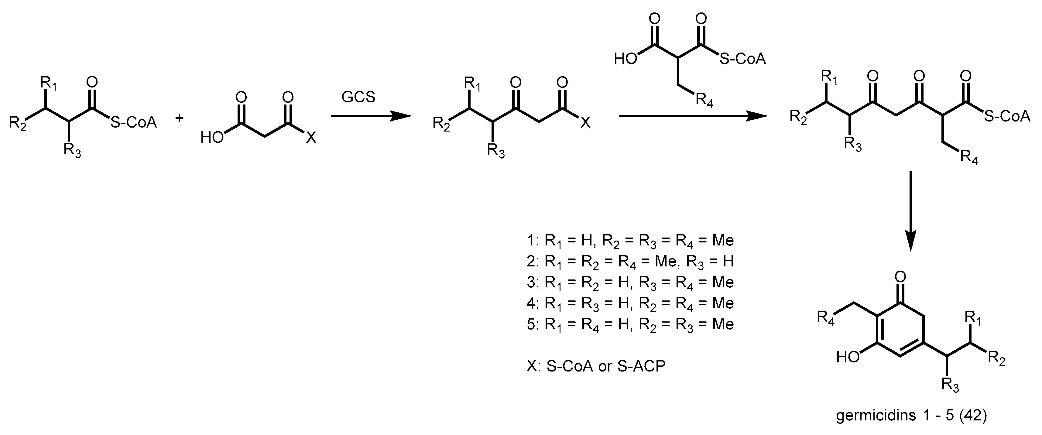 Molecules 21 00806 sch015