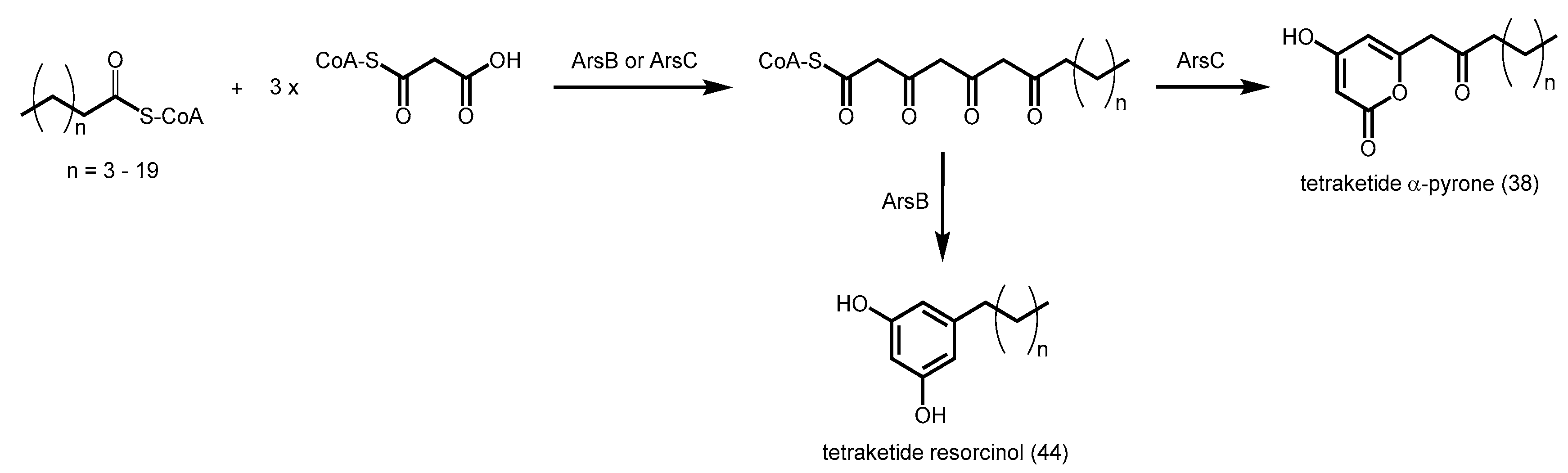 Molecules 21 00806 sch017