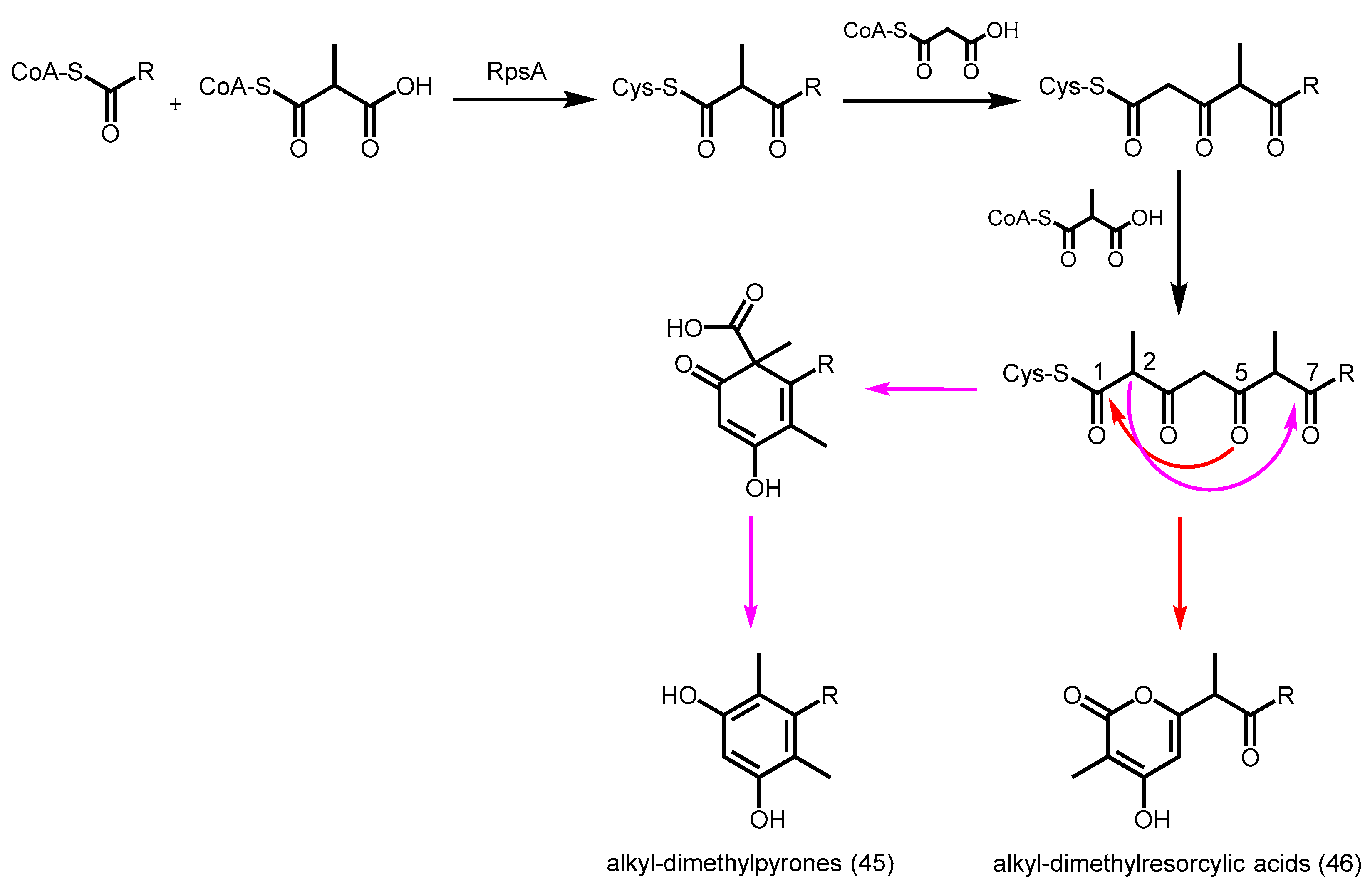 Molecules 21 00806 sch018