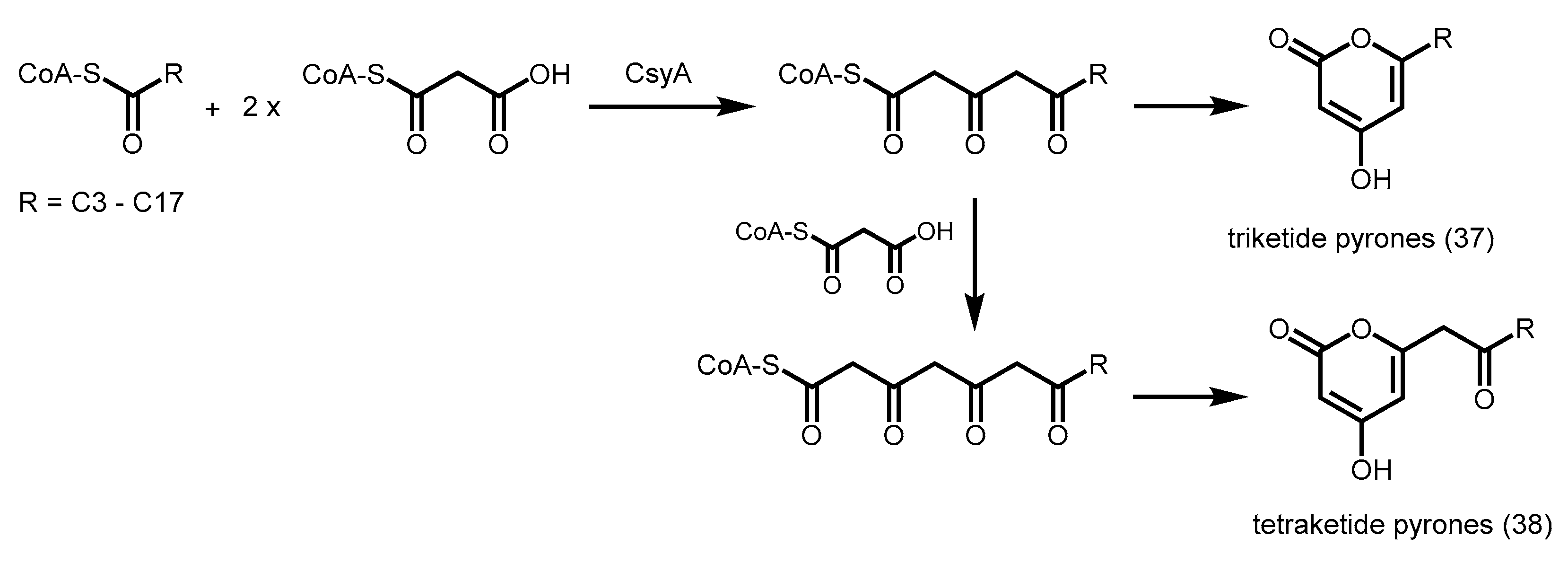Molecules 21 00806 sch020