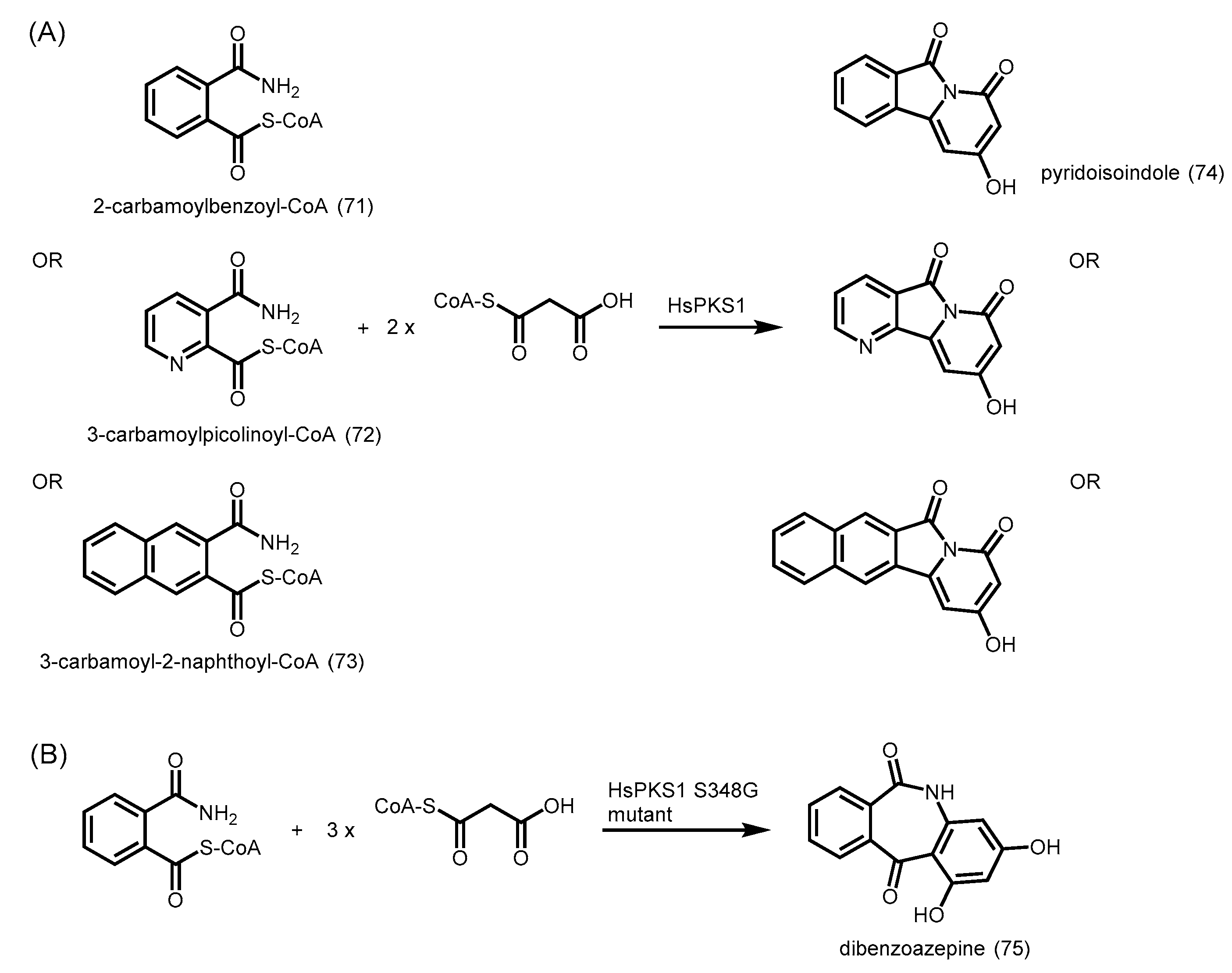 Molecules 21 00806 sch025