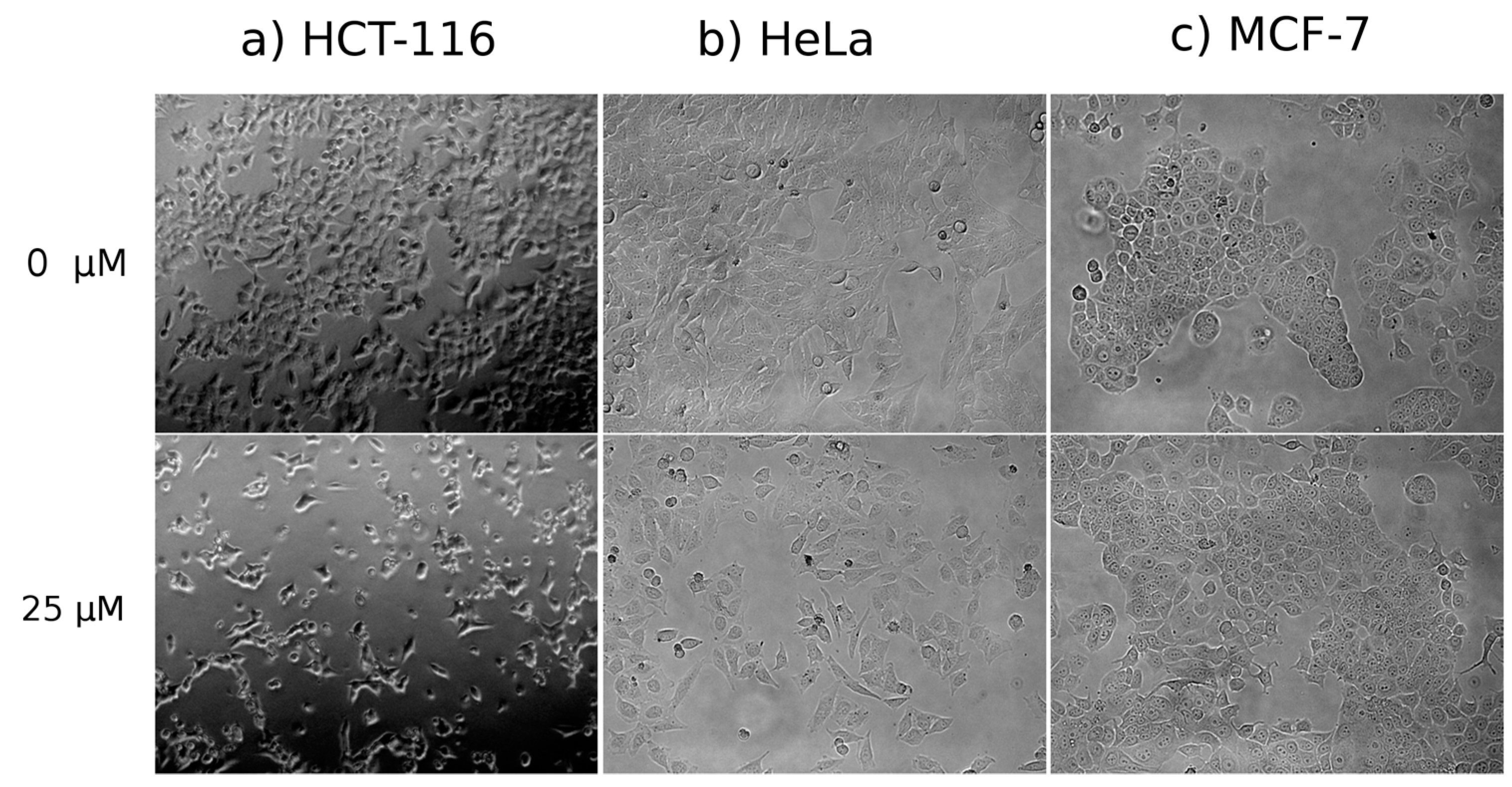 Molecules 21 00808 g003a