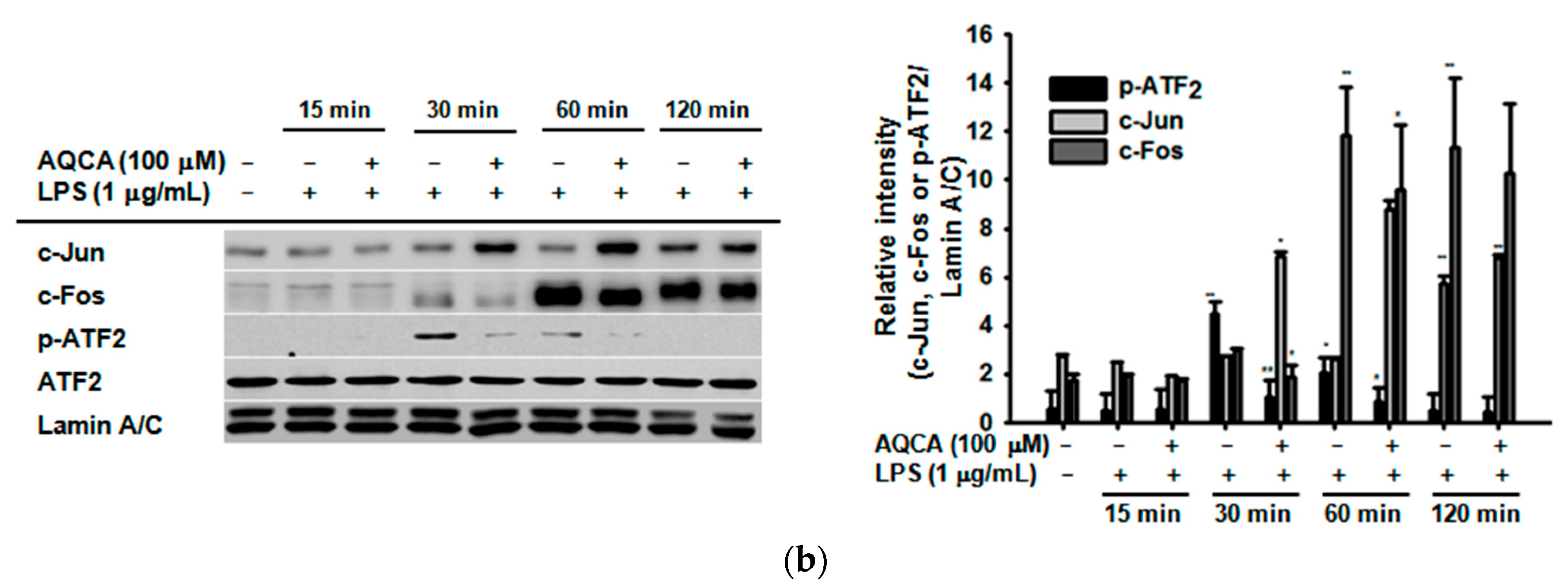 Molecules 21 00809 g002b