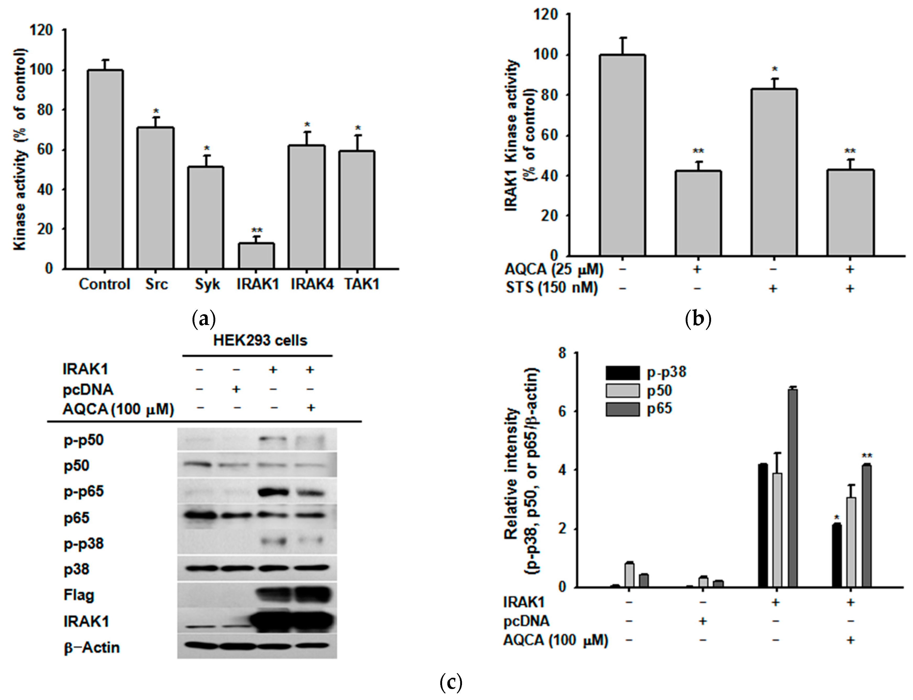 Molecules 21 00809 g004