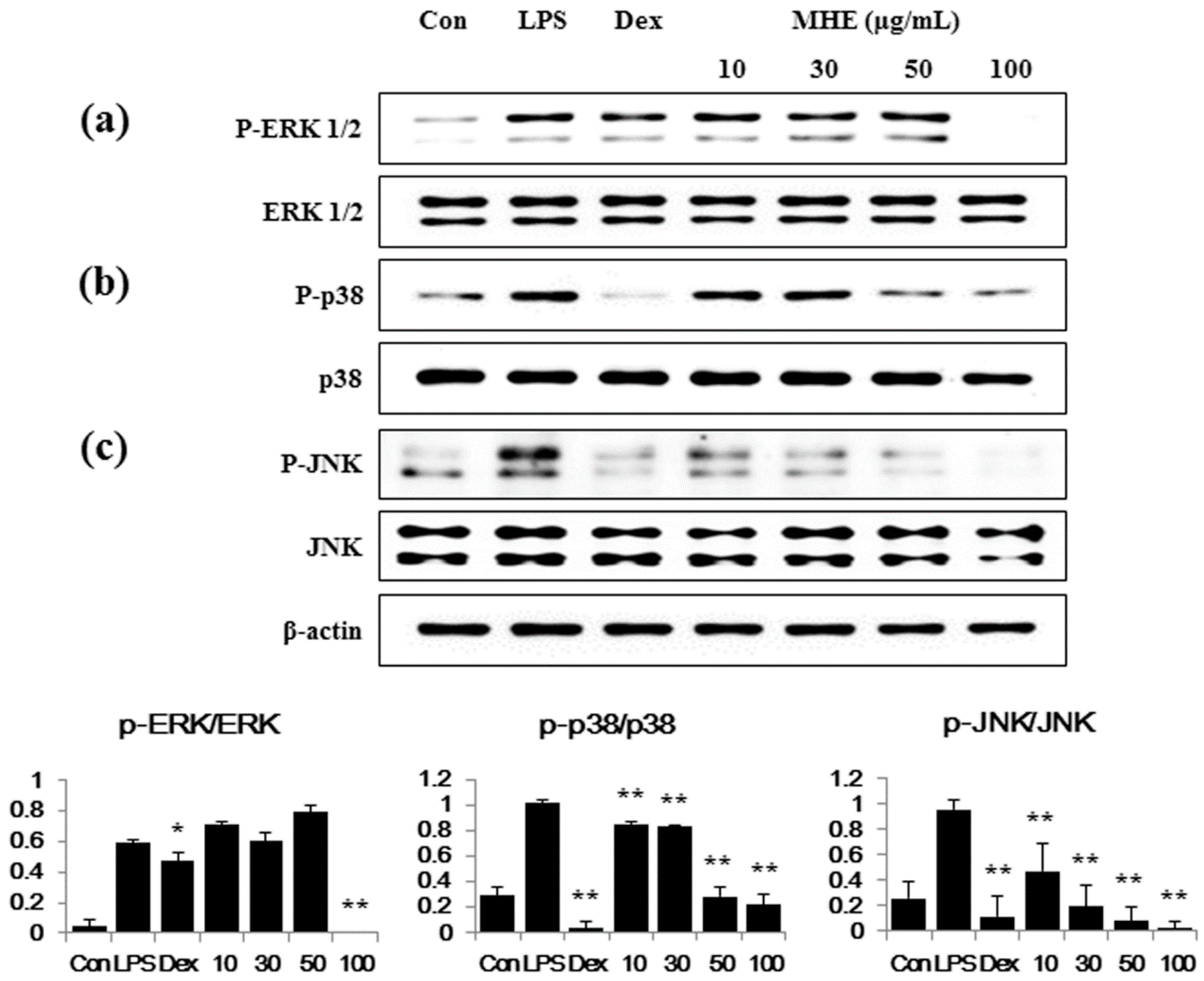Molecules 21 00818 g005