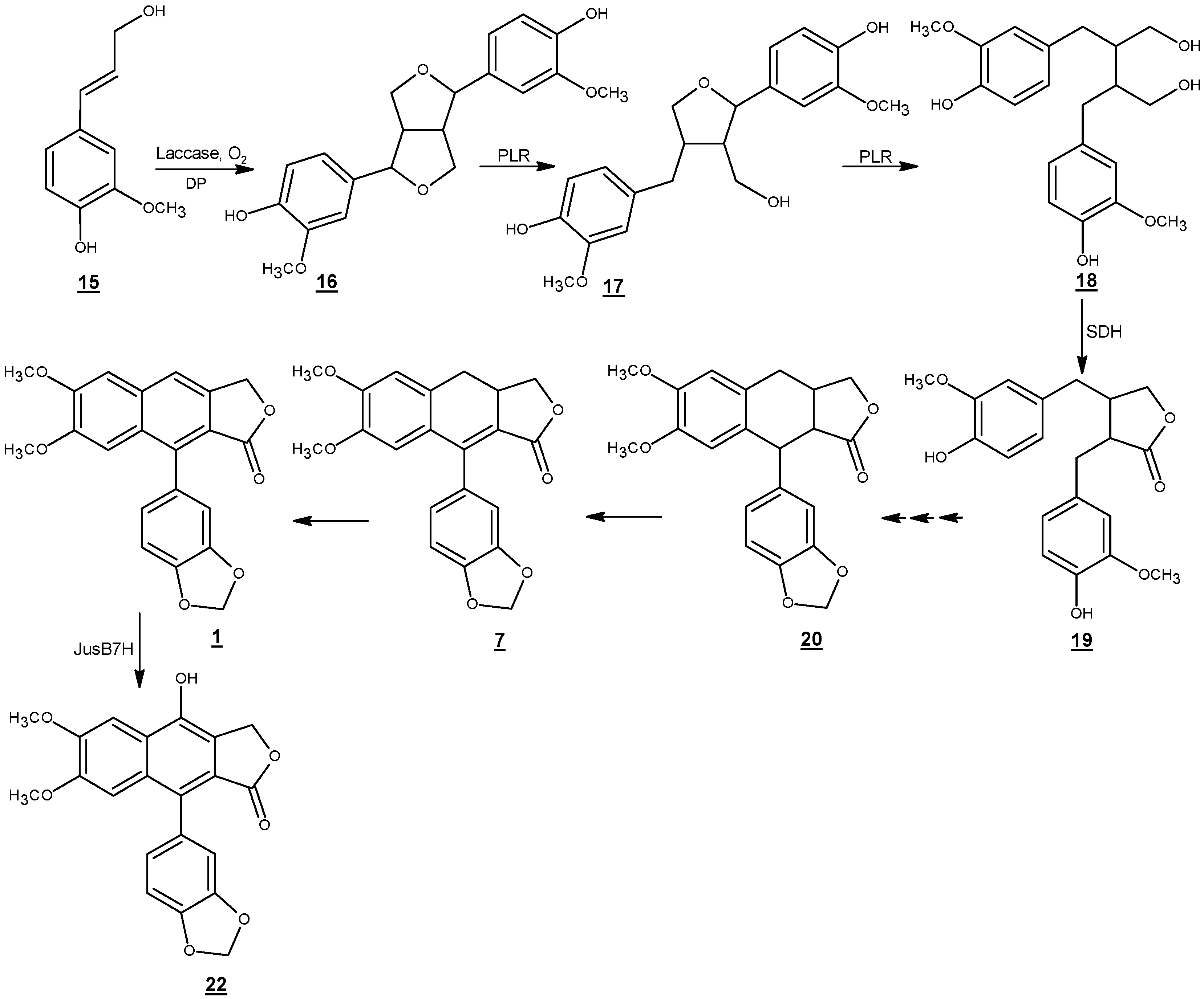 Molecules 21 00820 sch005